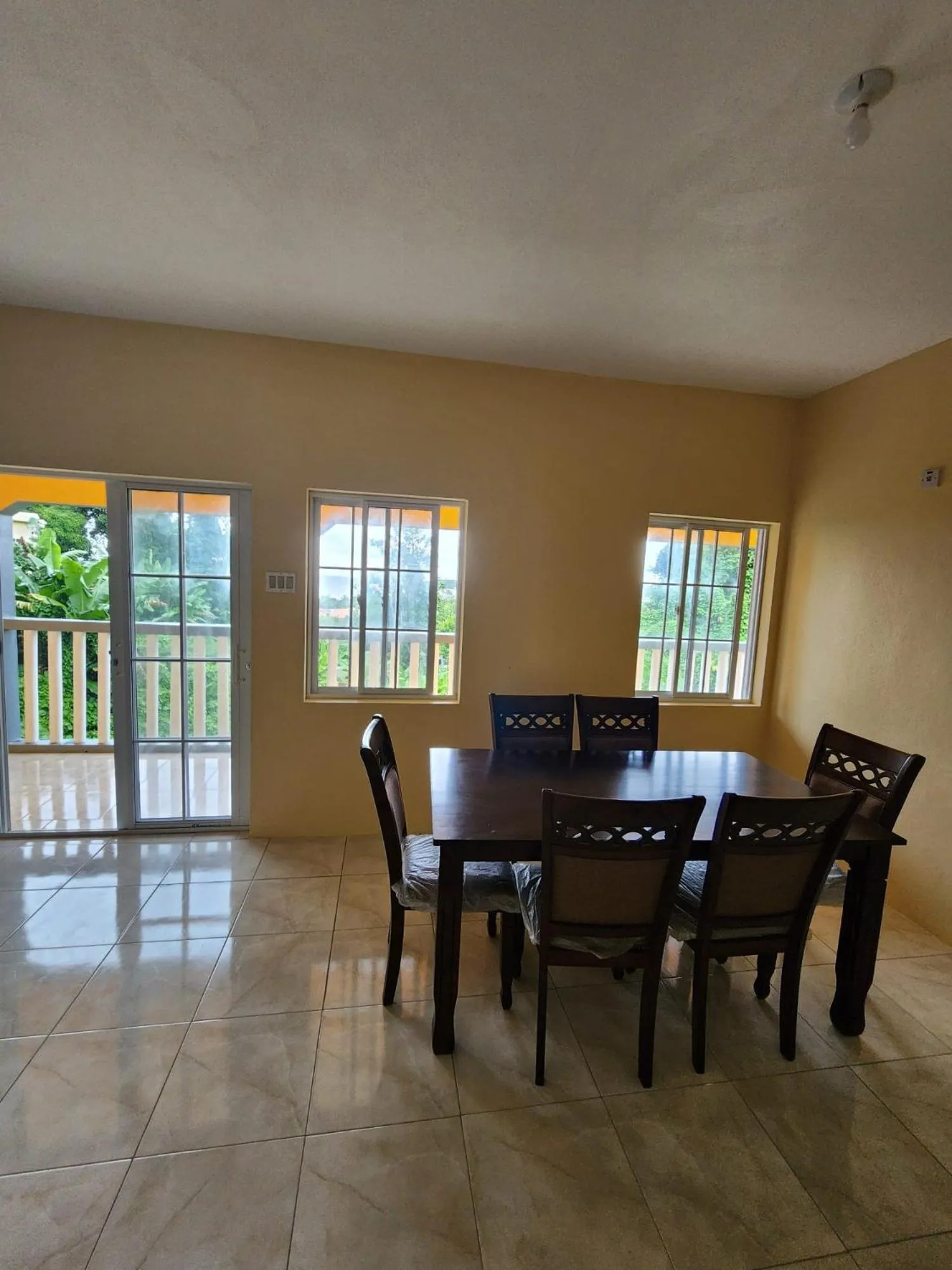 Breakfast in Viva Violas