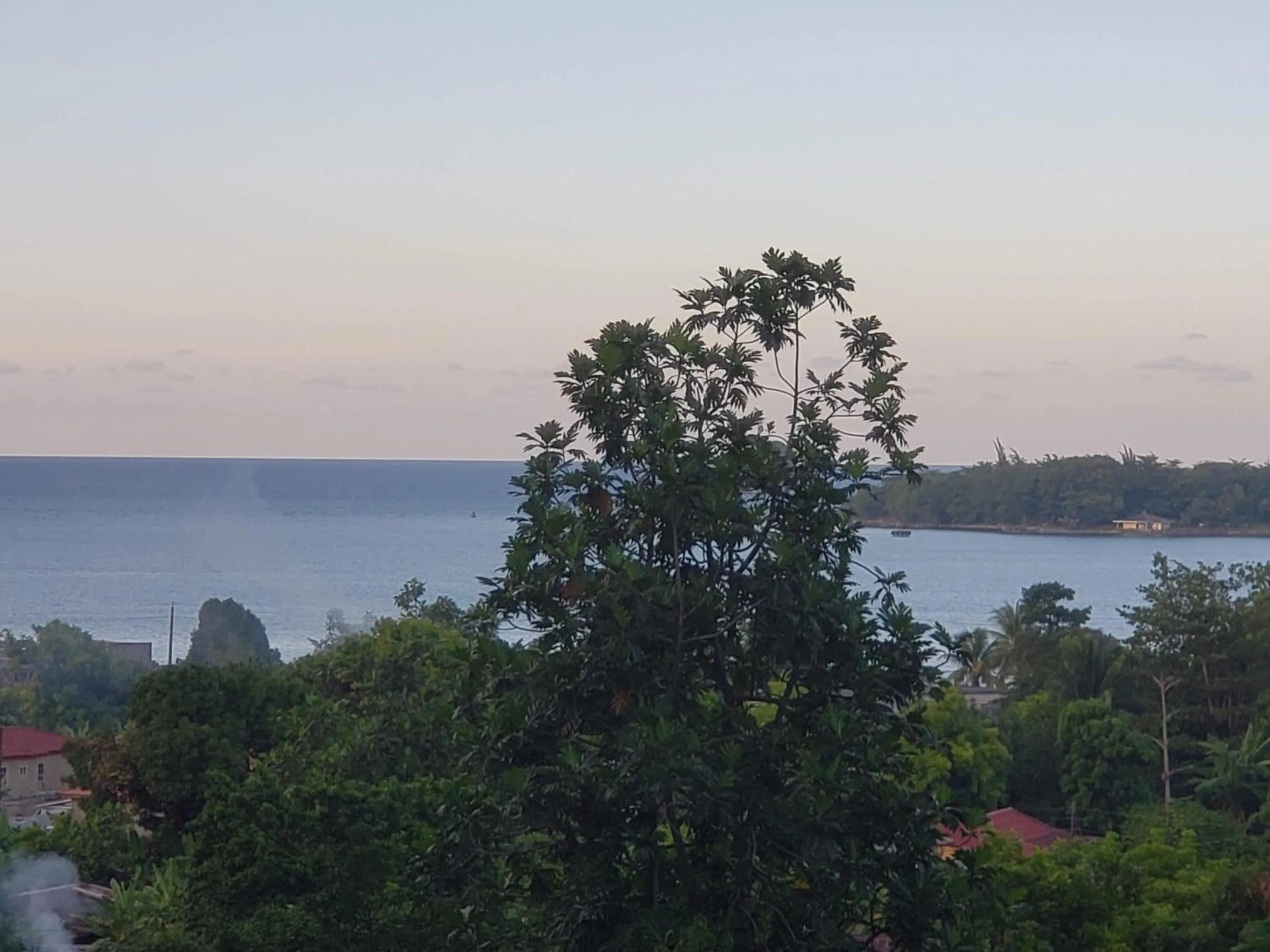 City view in Viva Violas