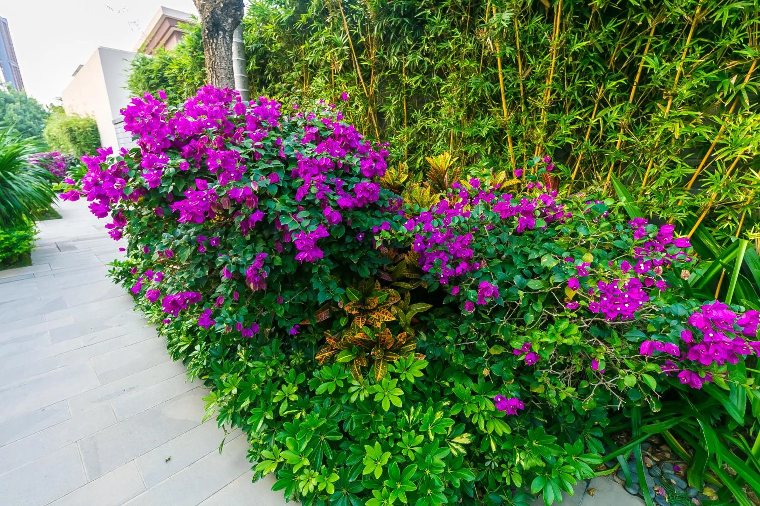 Sanya Haitang Bay Mushe Villa