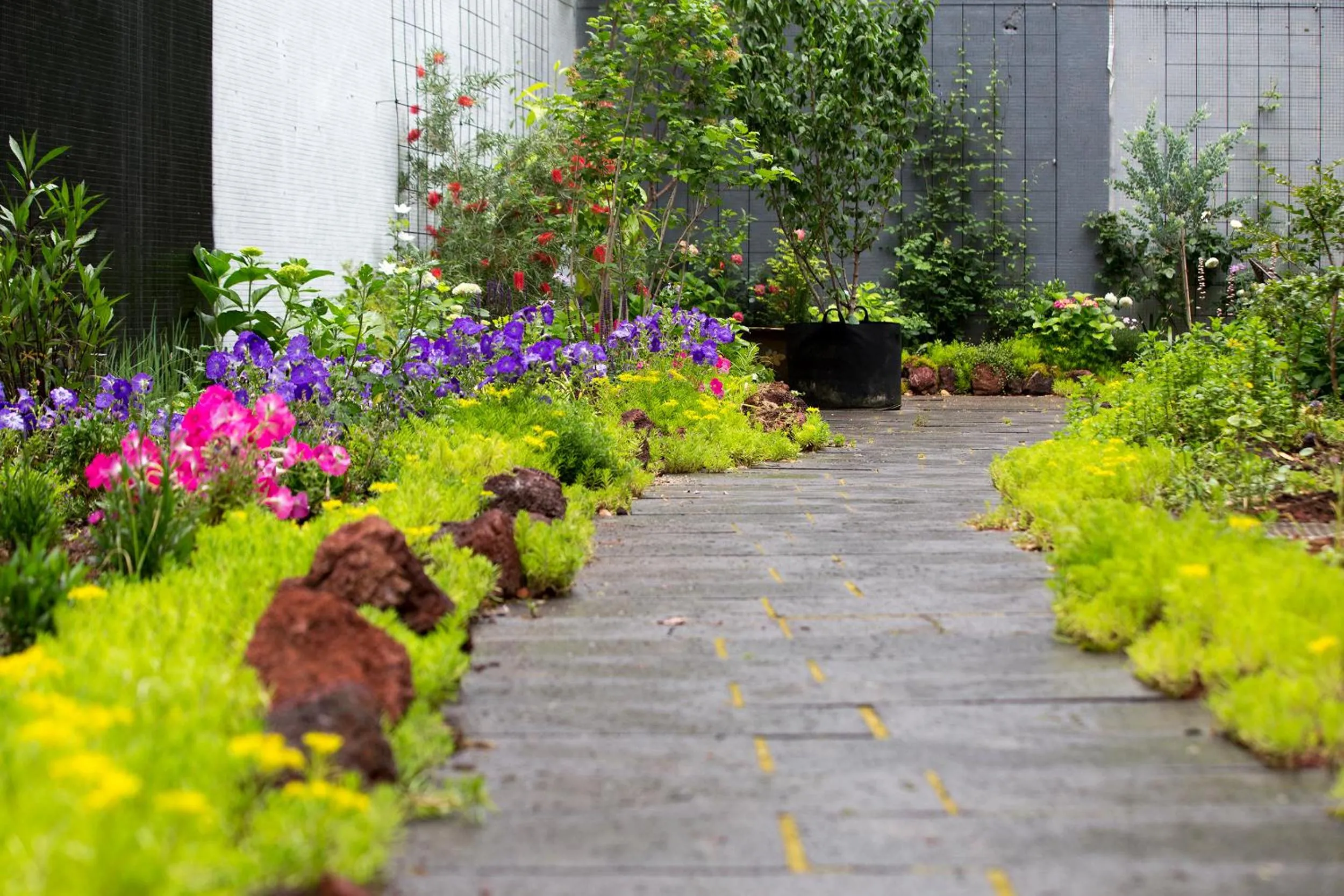Garden view in Urban Rosa Cafe&Inn