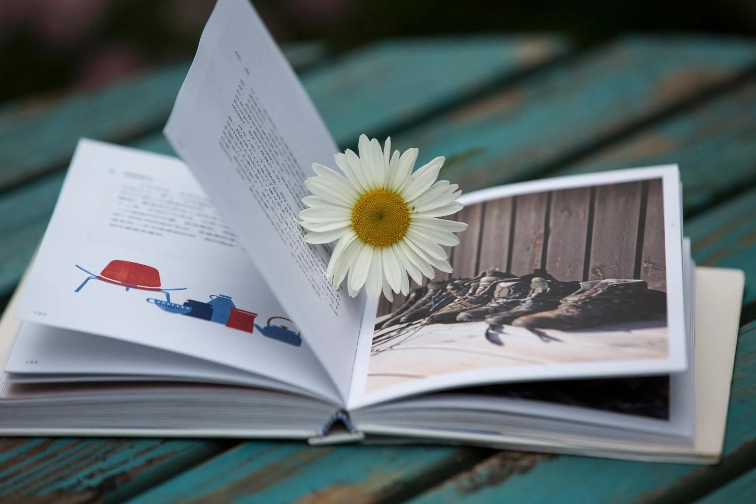 Communal lounge/ TV room in Urban Rosa Cafe&Inn