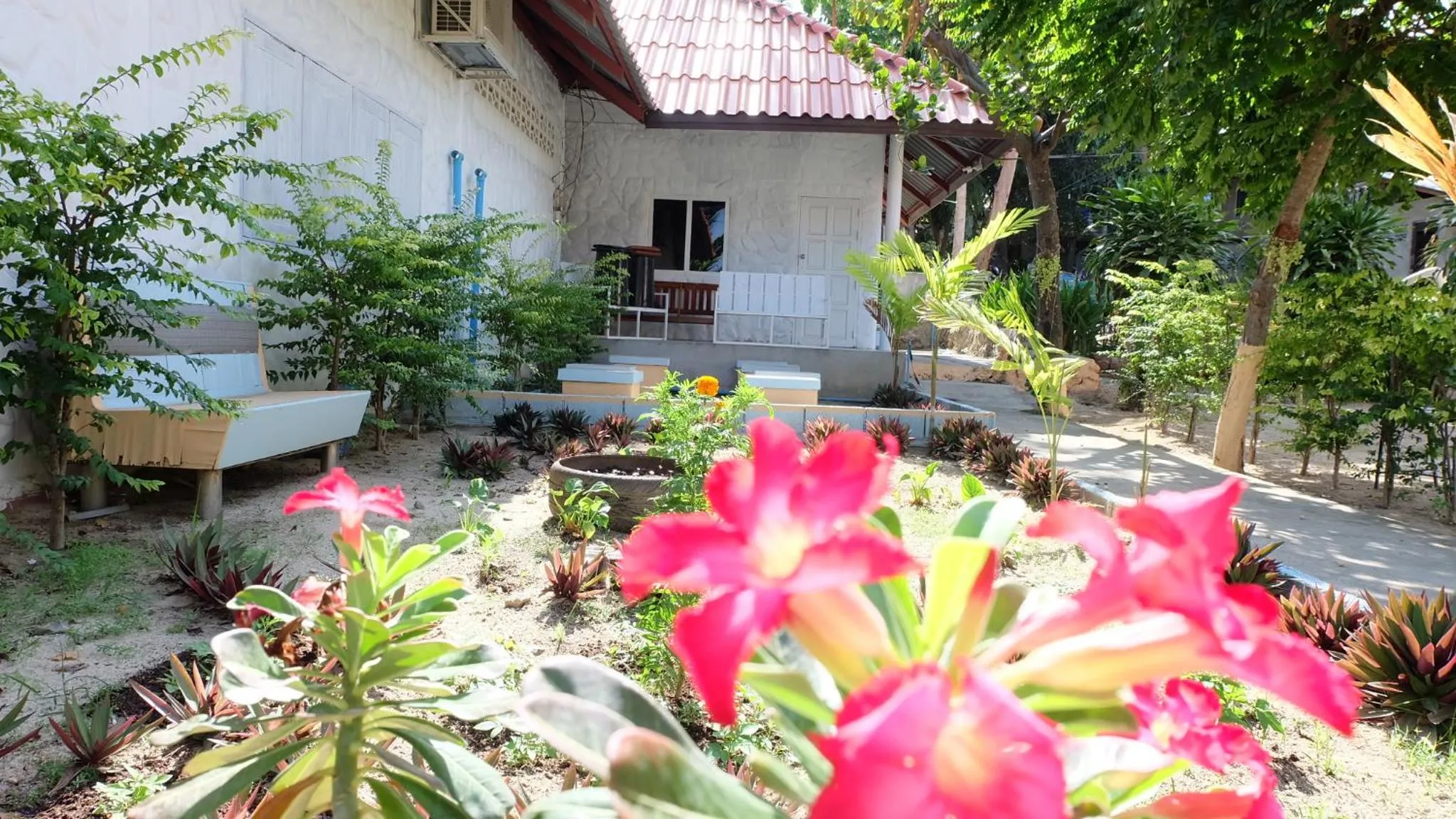 Property building in Paradise Bungalows