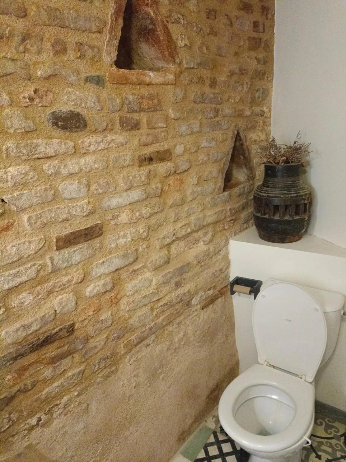 Toilet in La lauze et l'anguille