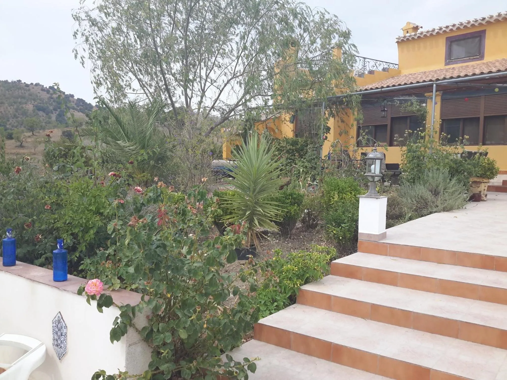 Garden view in Casa Joya