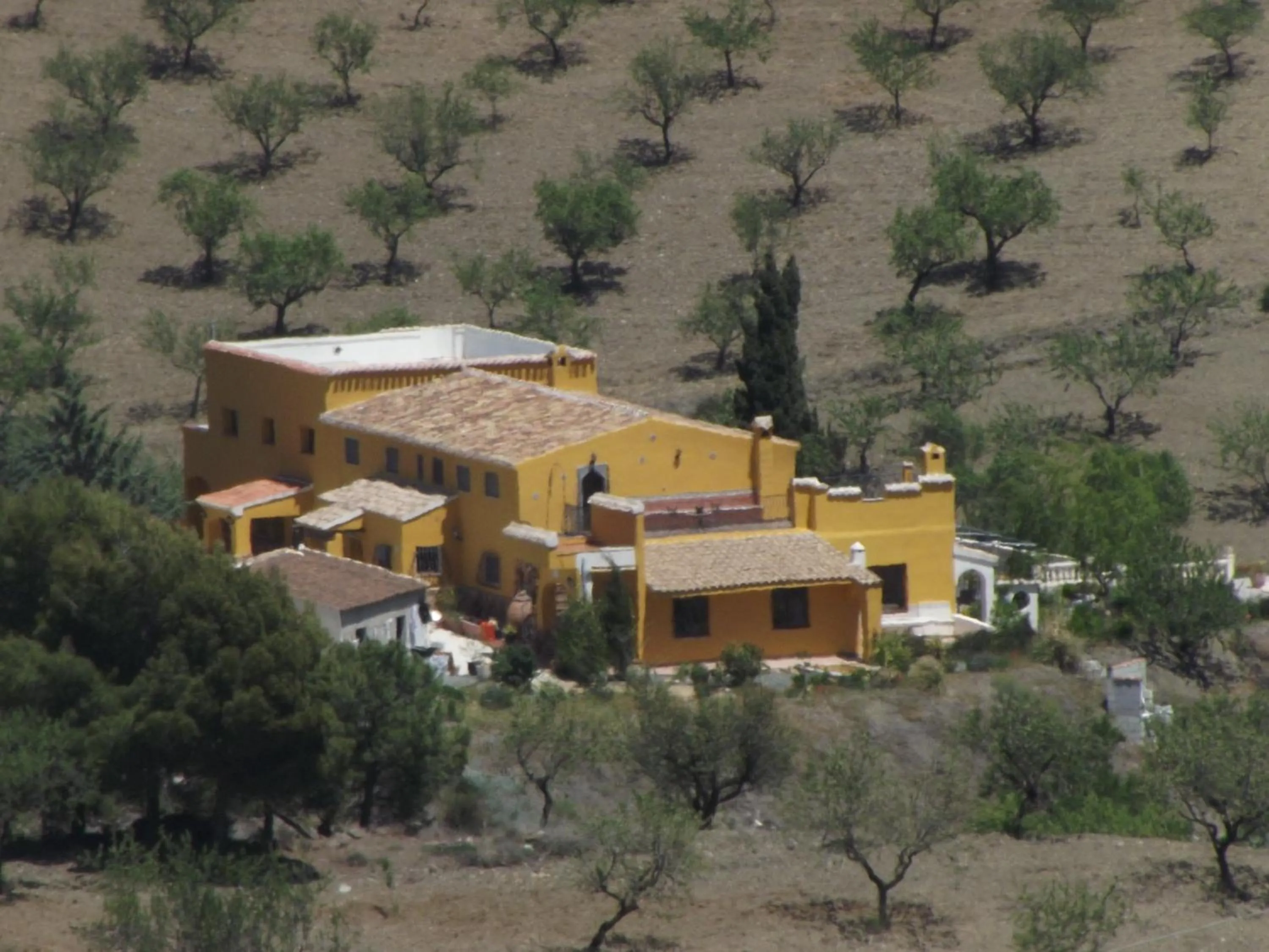 Bird's eye view in Casa Joya