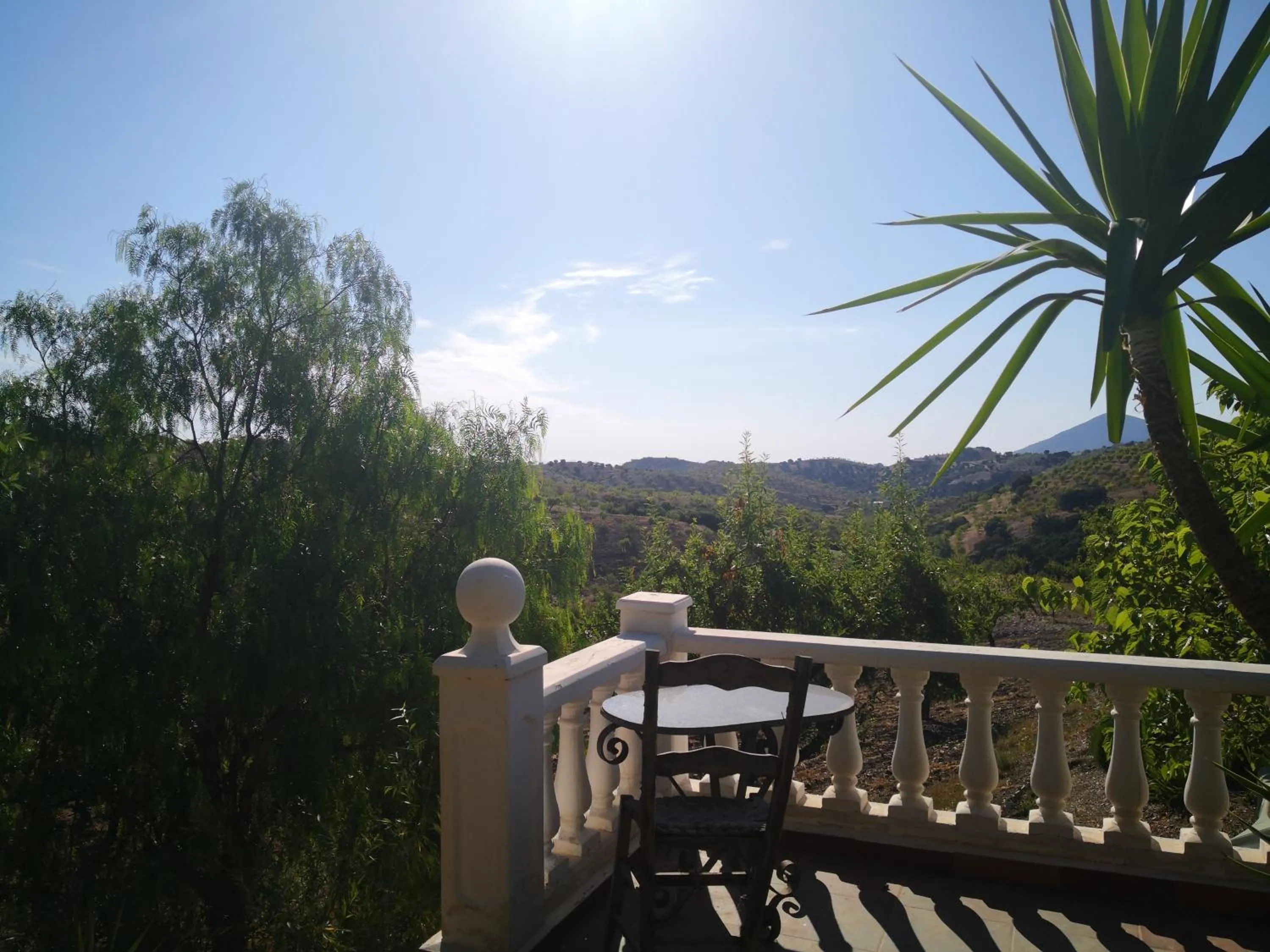 Sunrise in Casa Joya