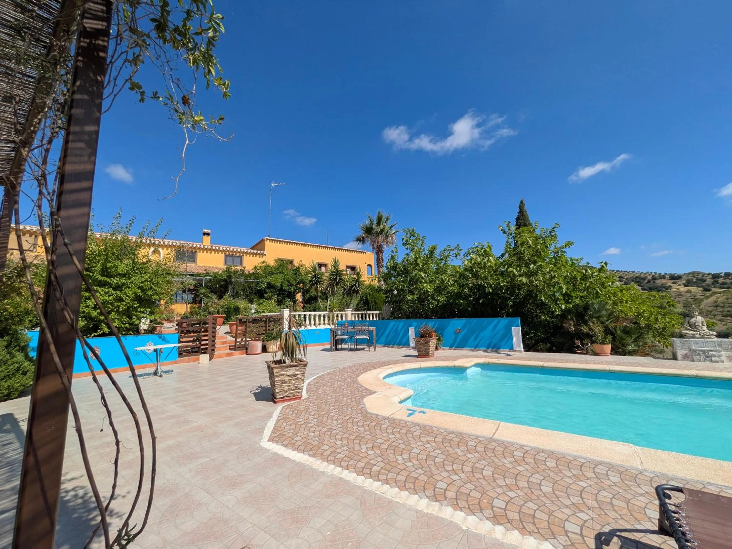 Swimming pool in Casa Joya