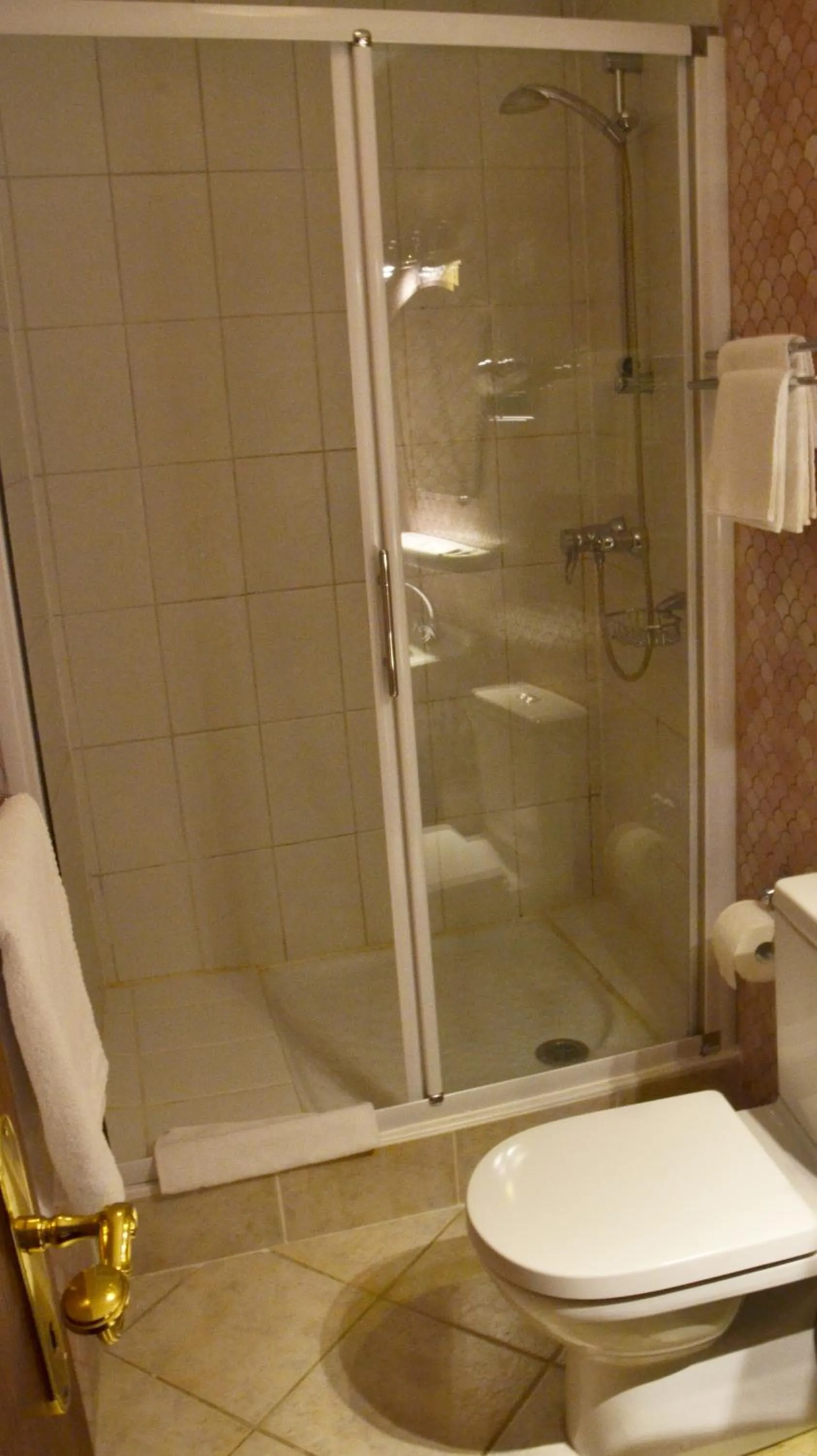 Shower in Hostellerie au Cygne