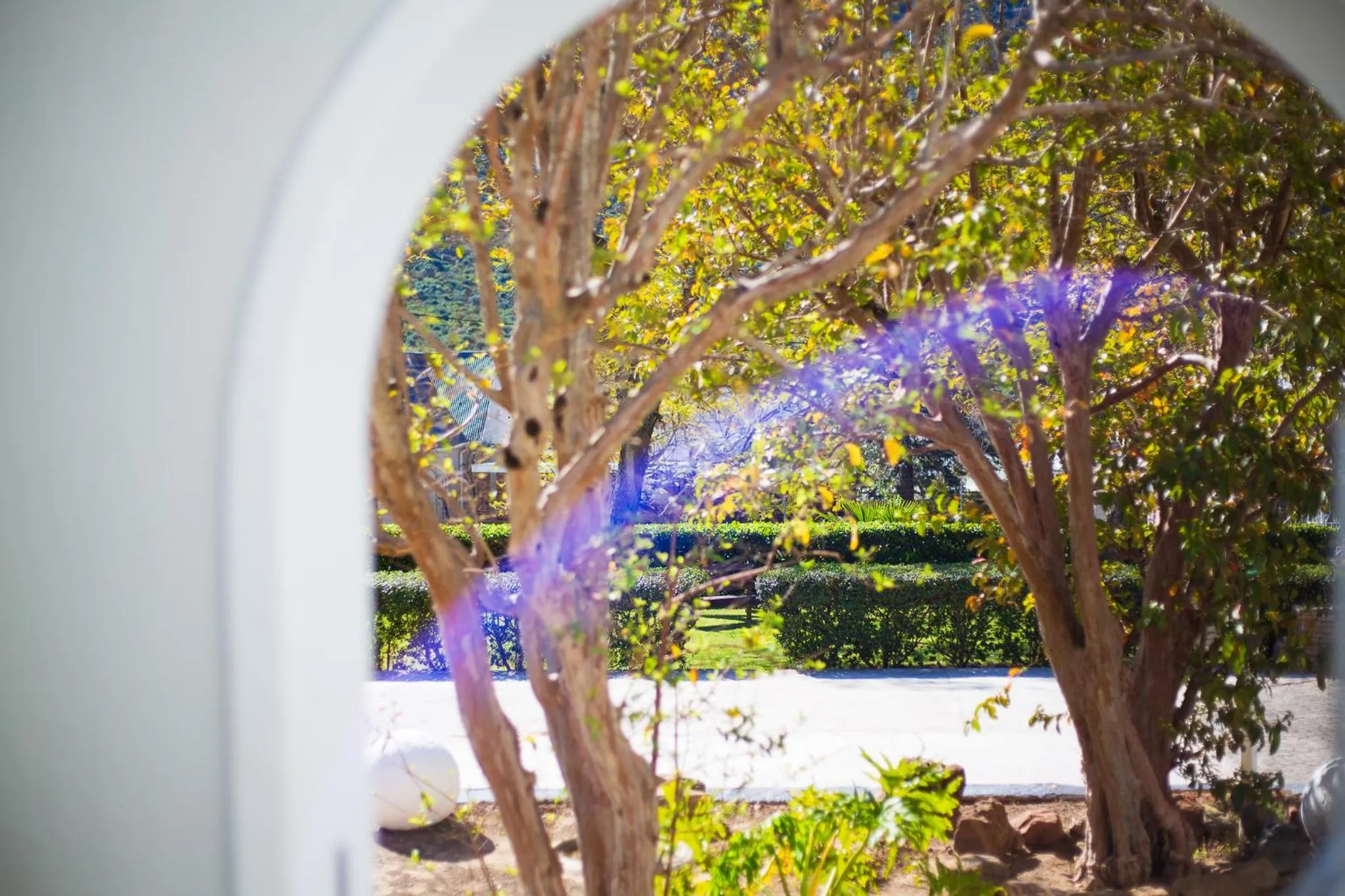 Garden in Herberg Manor