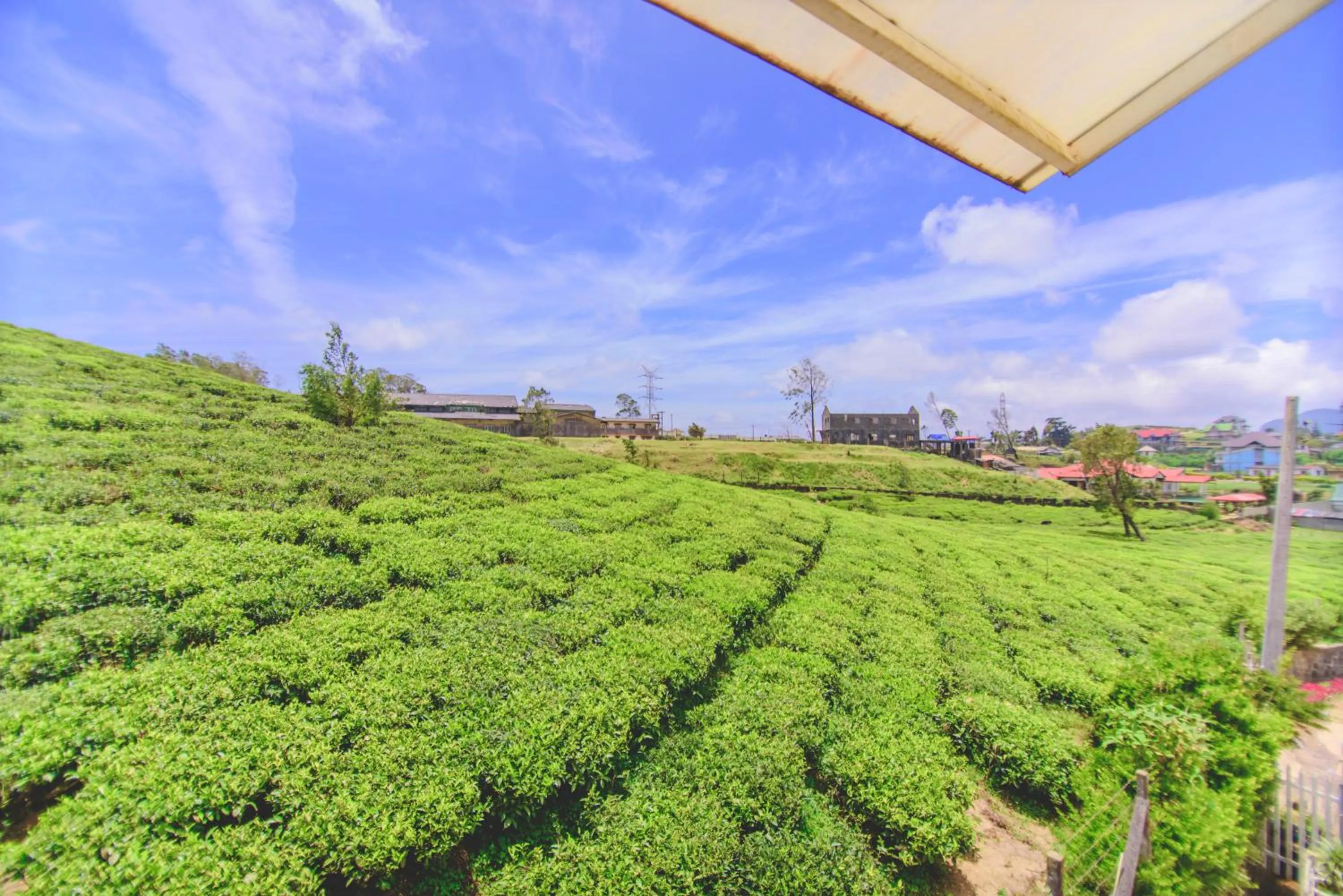 Natural landscape in Sarah Cottage Nuwara Eliya