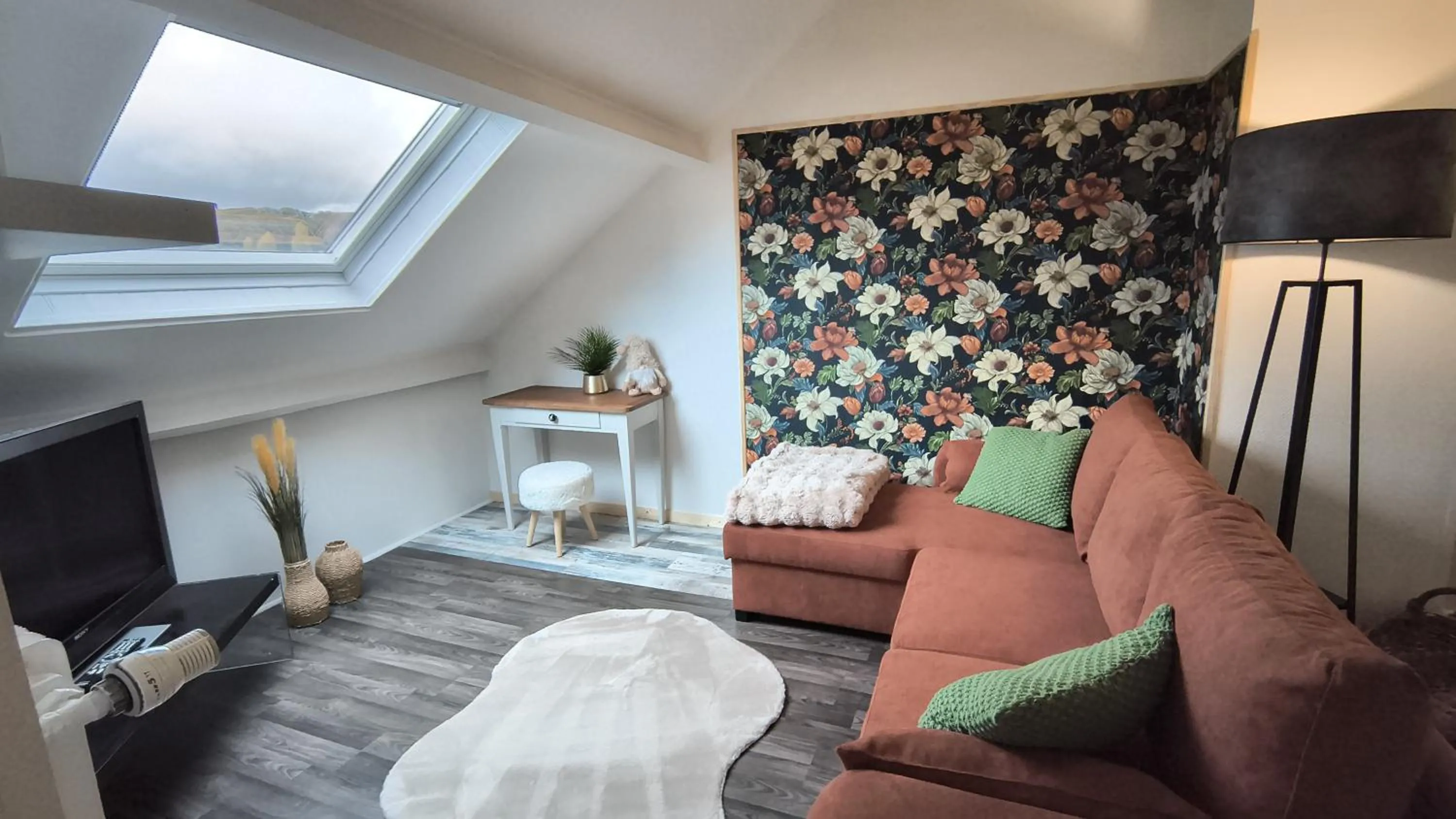 TV and multimedia in La Girouardière