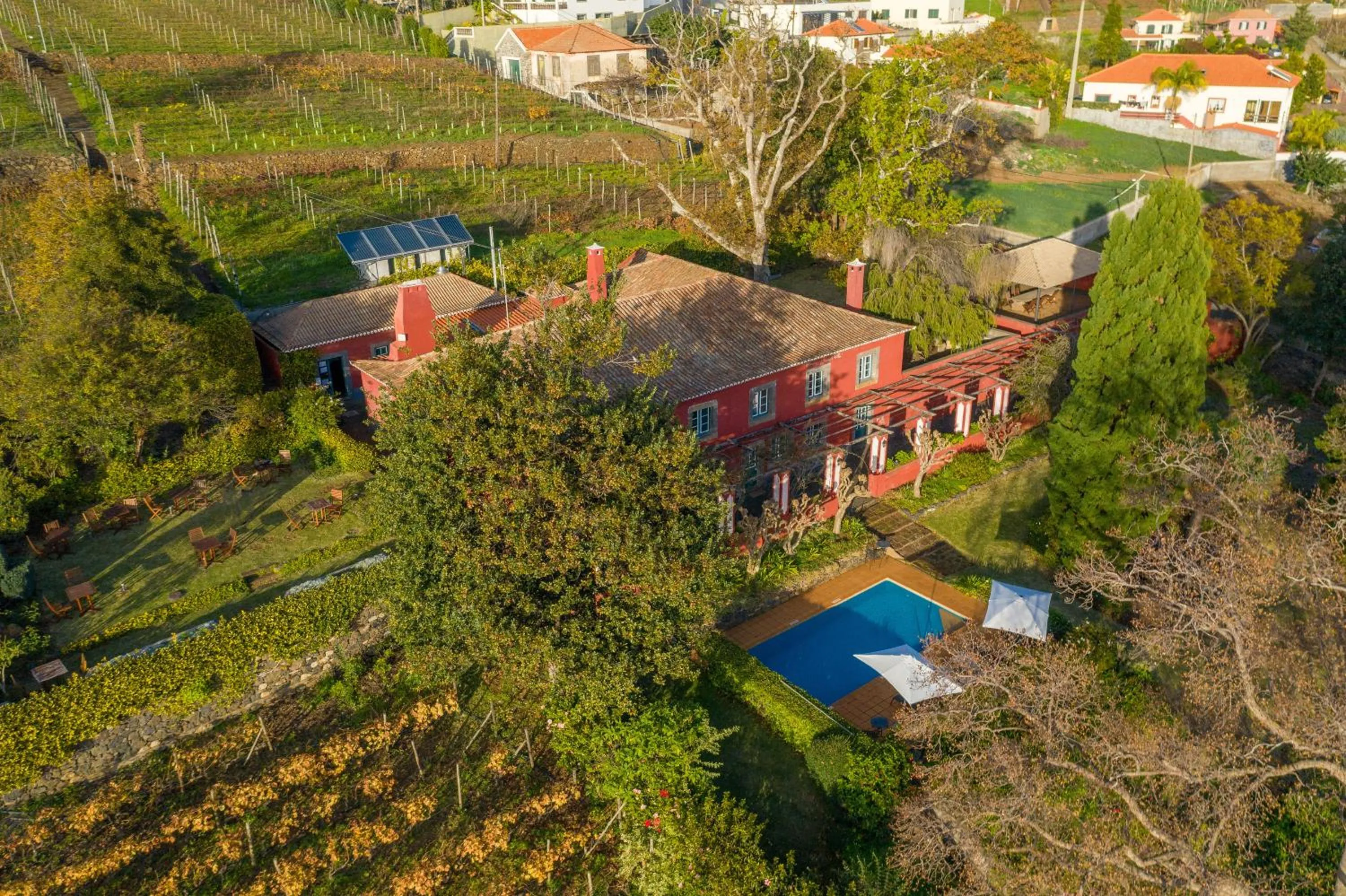 Bird's eye view in Quinta das Vinhas