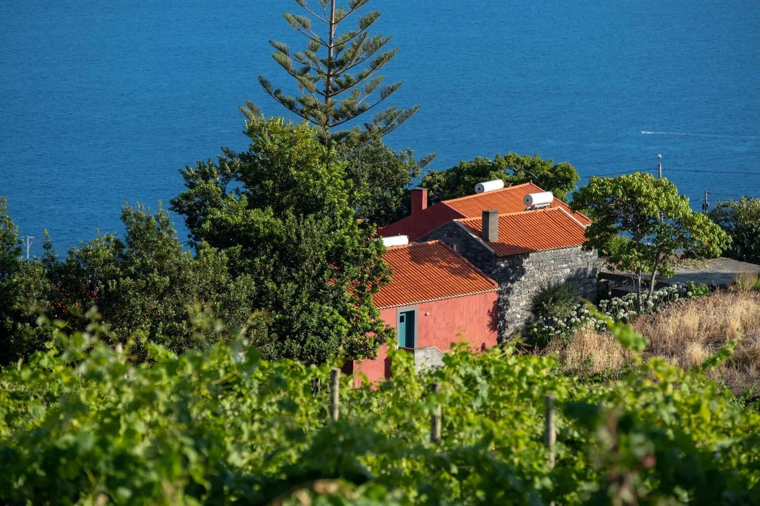 Bird's eye view in Quinta das Vinhas
