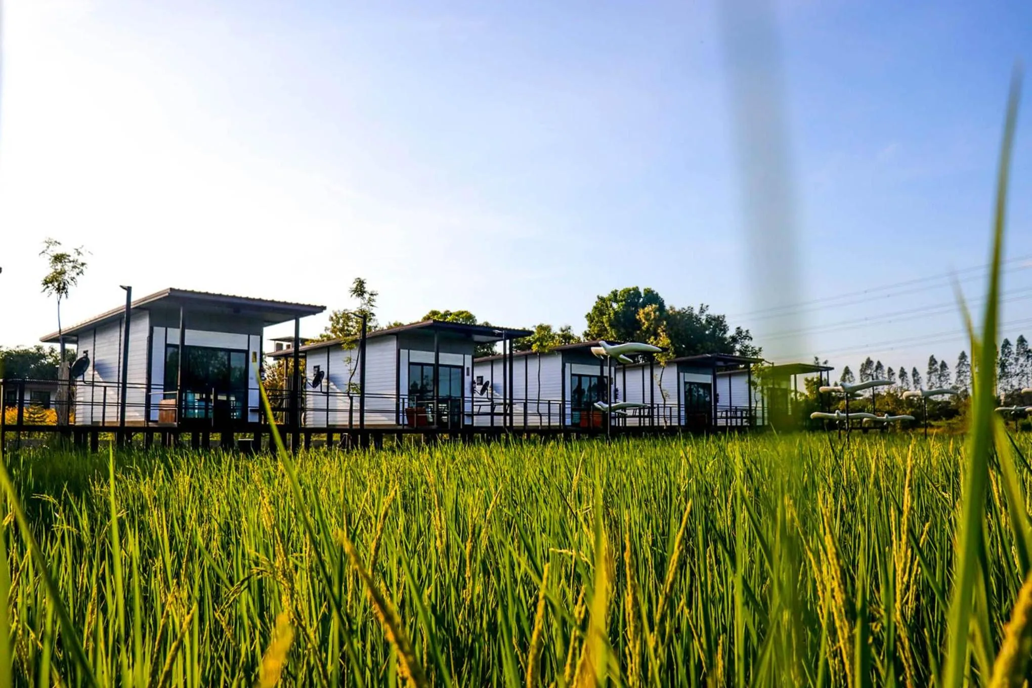 Property building in Mae On Village Resort