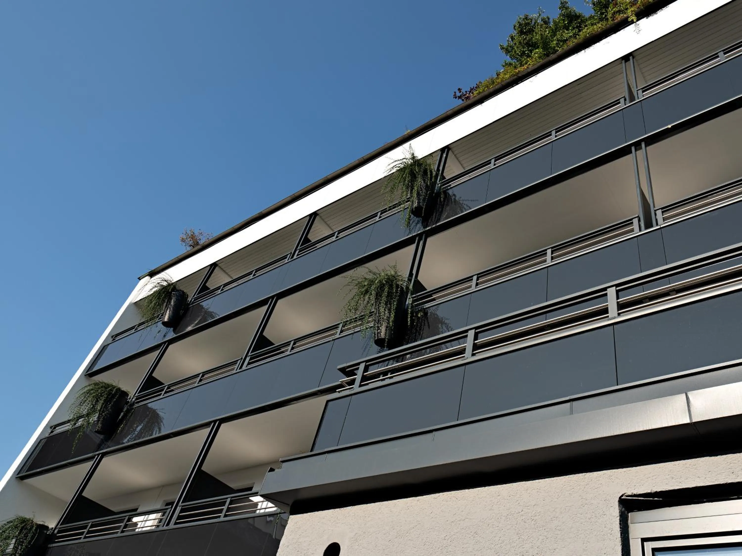 Facade/entrance in Stadthotel EGGERBRÄU