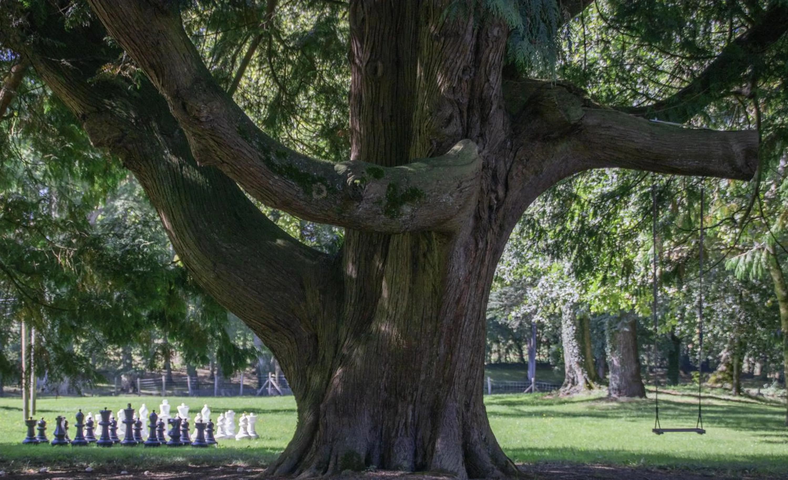 Spring in Hôtel le Corbusson Laval Ouest