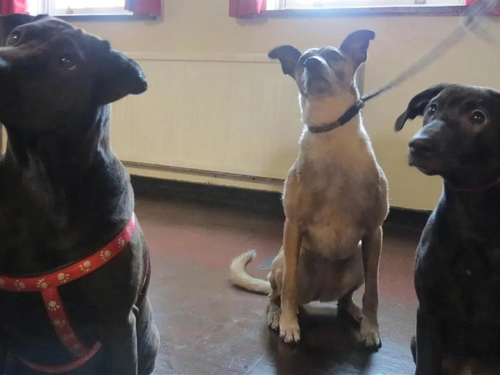 Other in The Wyche Inn