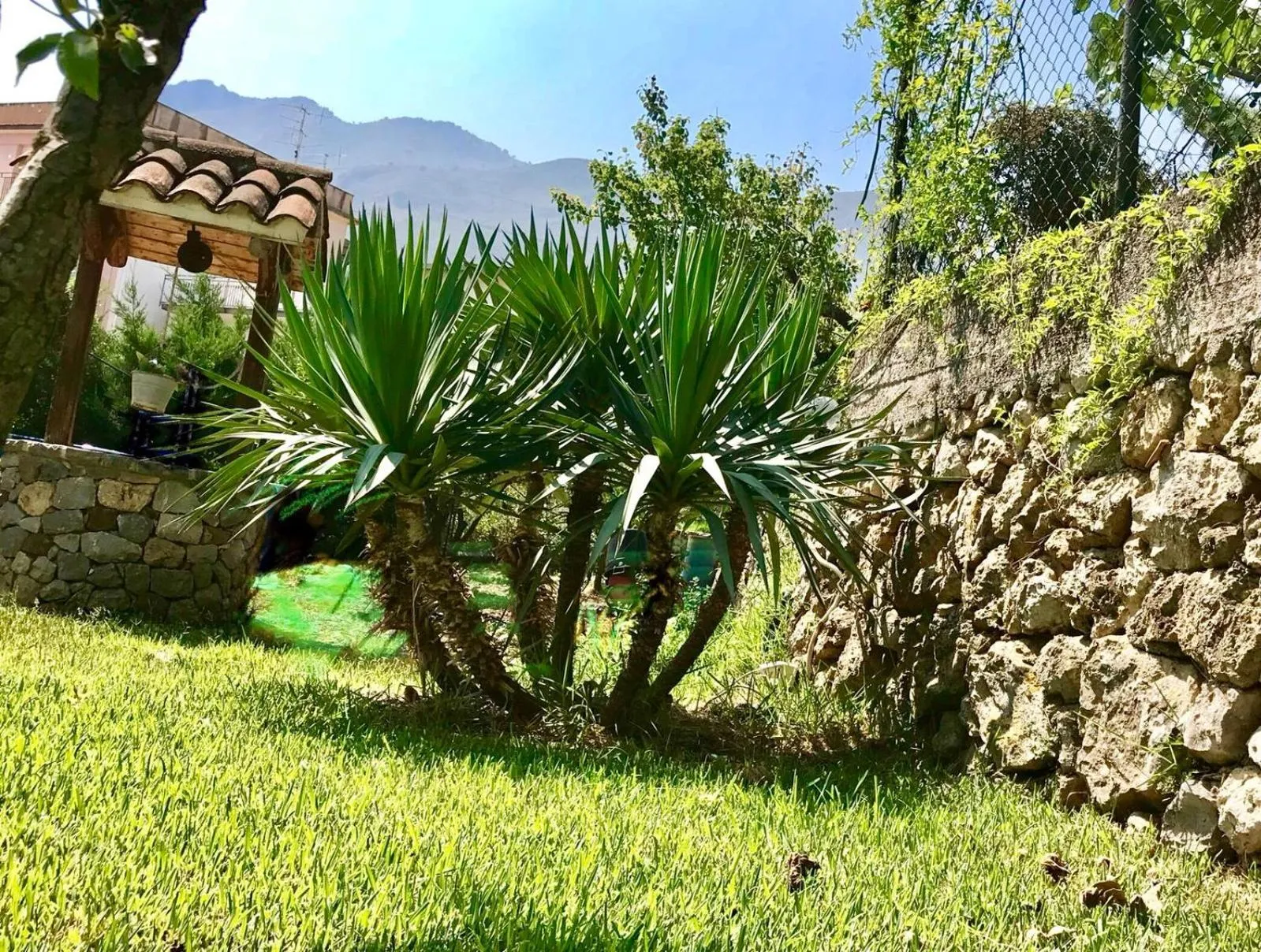 Garden in Cappuccini Green Relax