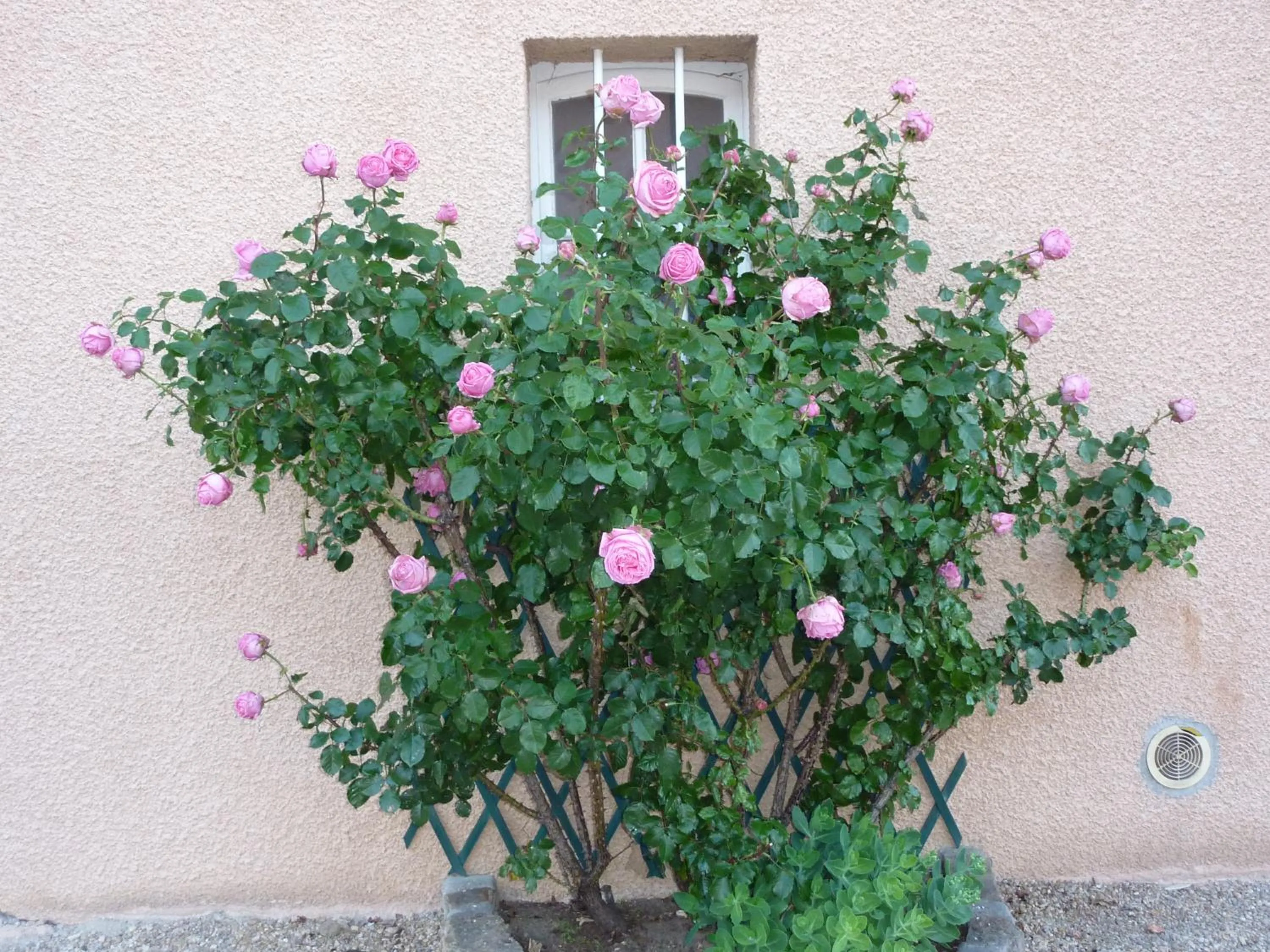 Other in Lac'Hotel France