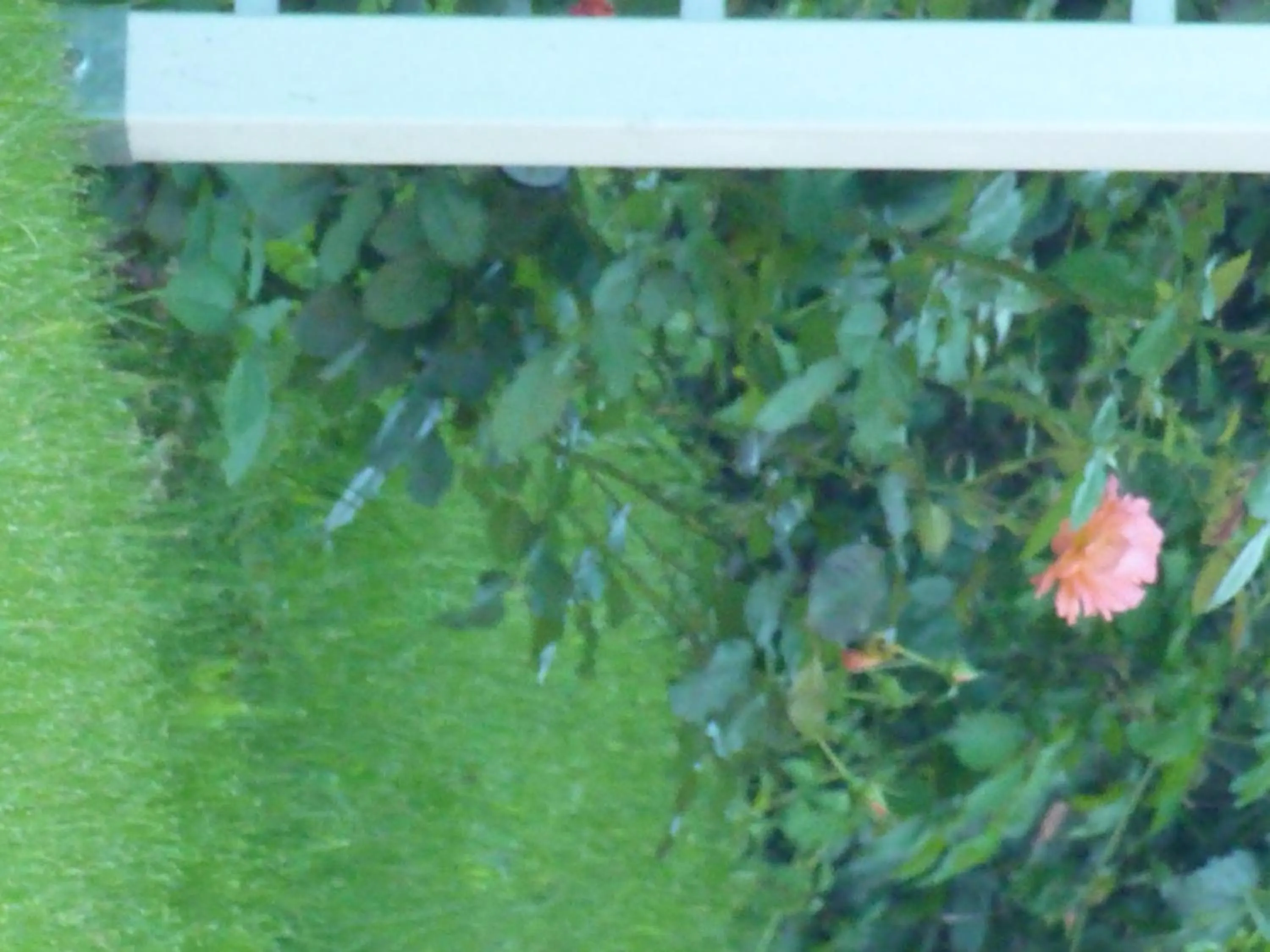 Other in Lac'Hotel France