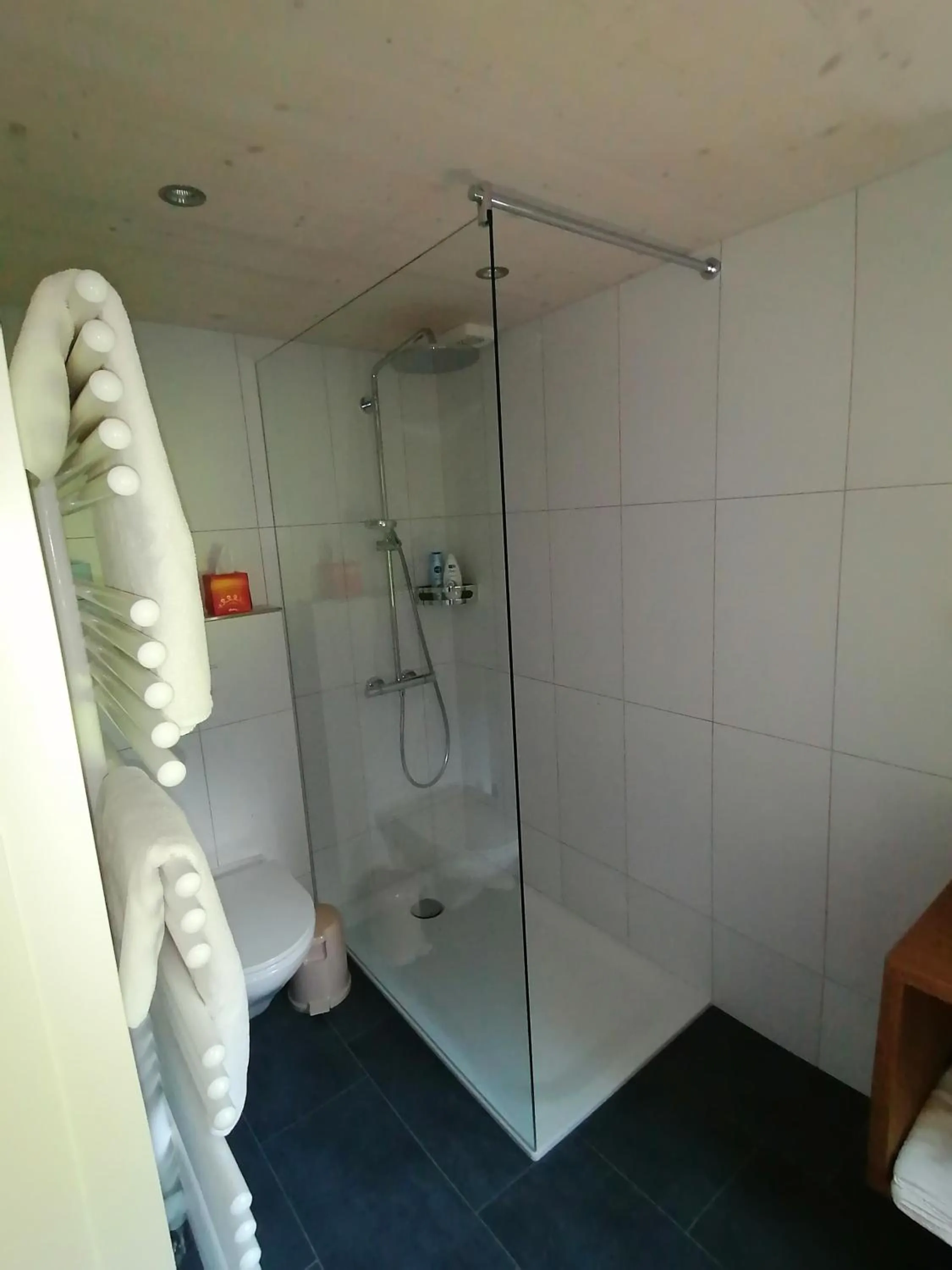 Shower in Gasthaus Bären Schlatt
