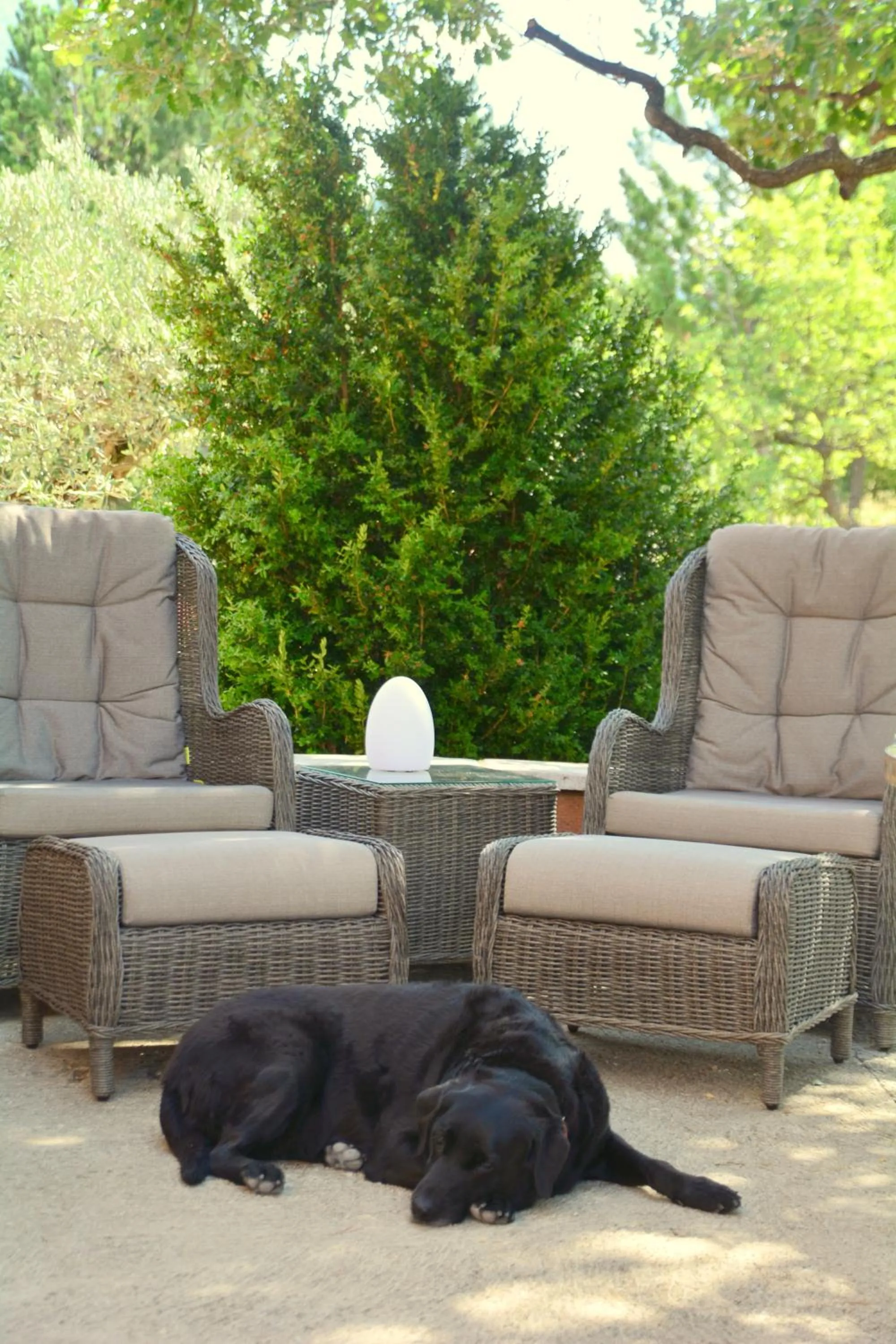 Pets in Les Jardins de l'Ermitage