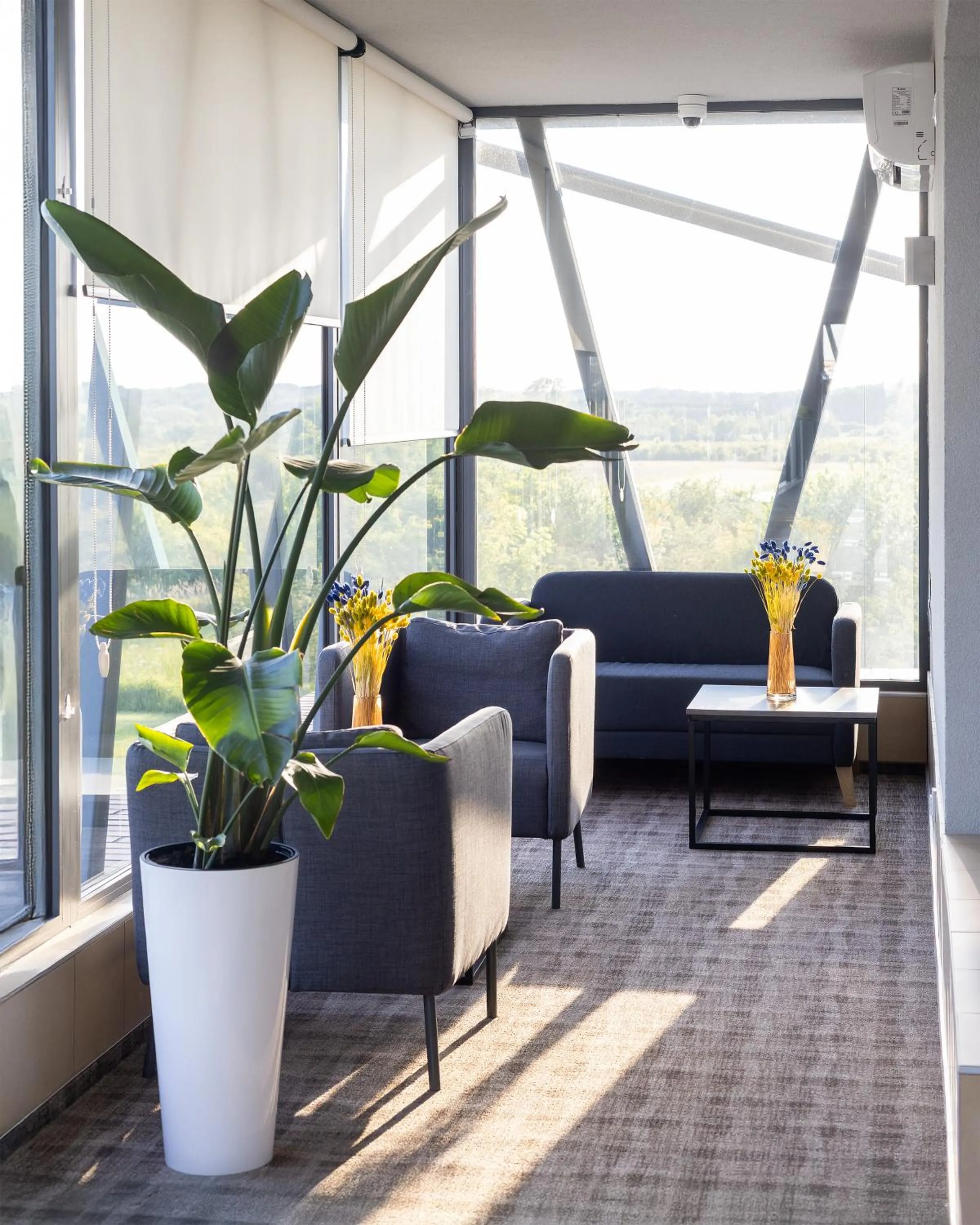 Seating area in SOLAVO HOME&TRAVEL