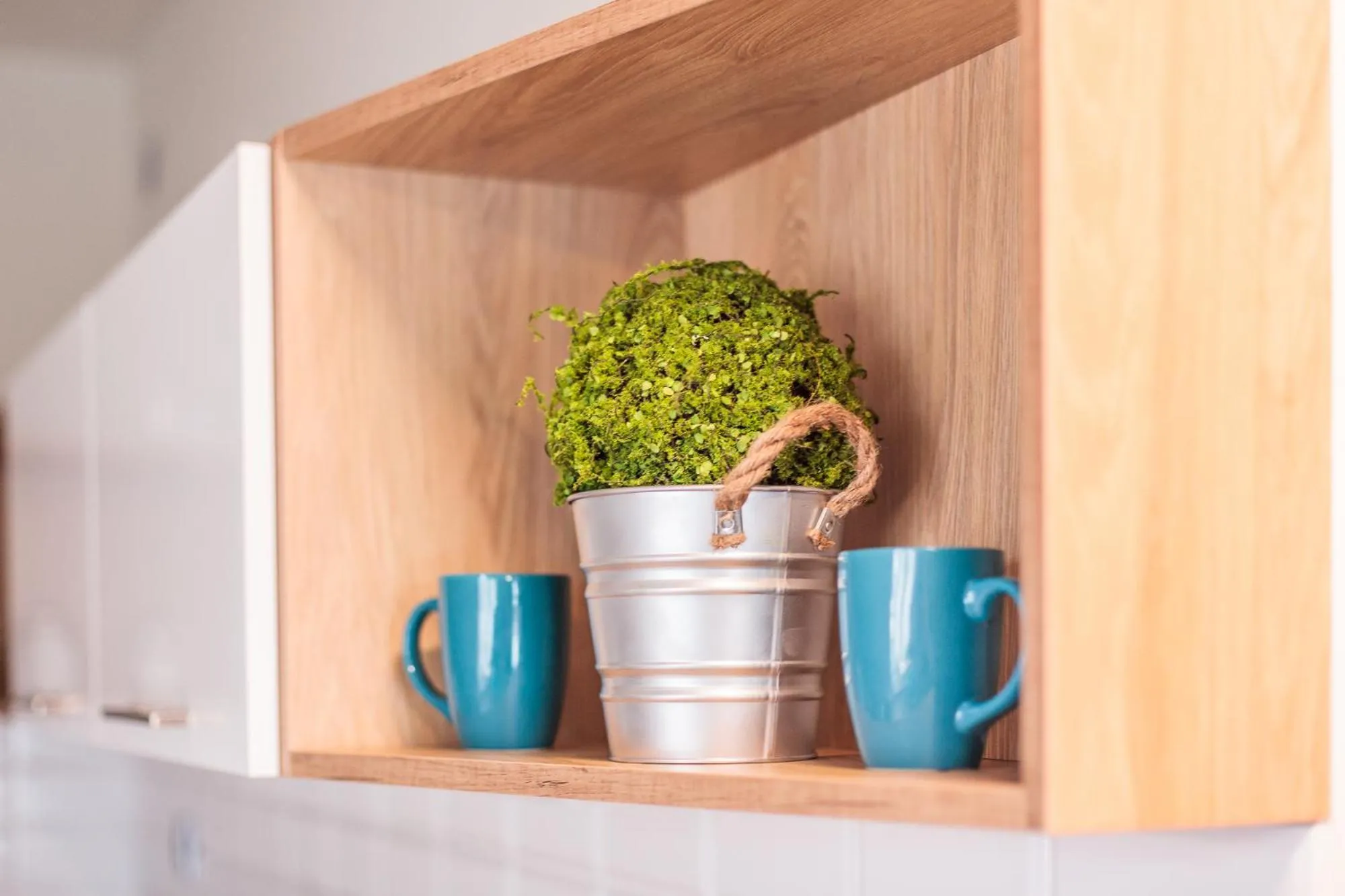 Windsurfing in SOLAVO HOME&TRAVEL