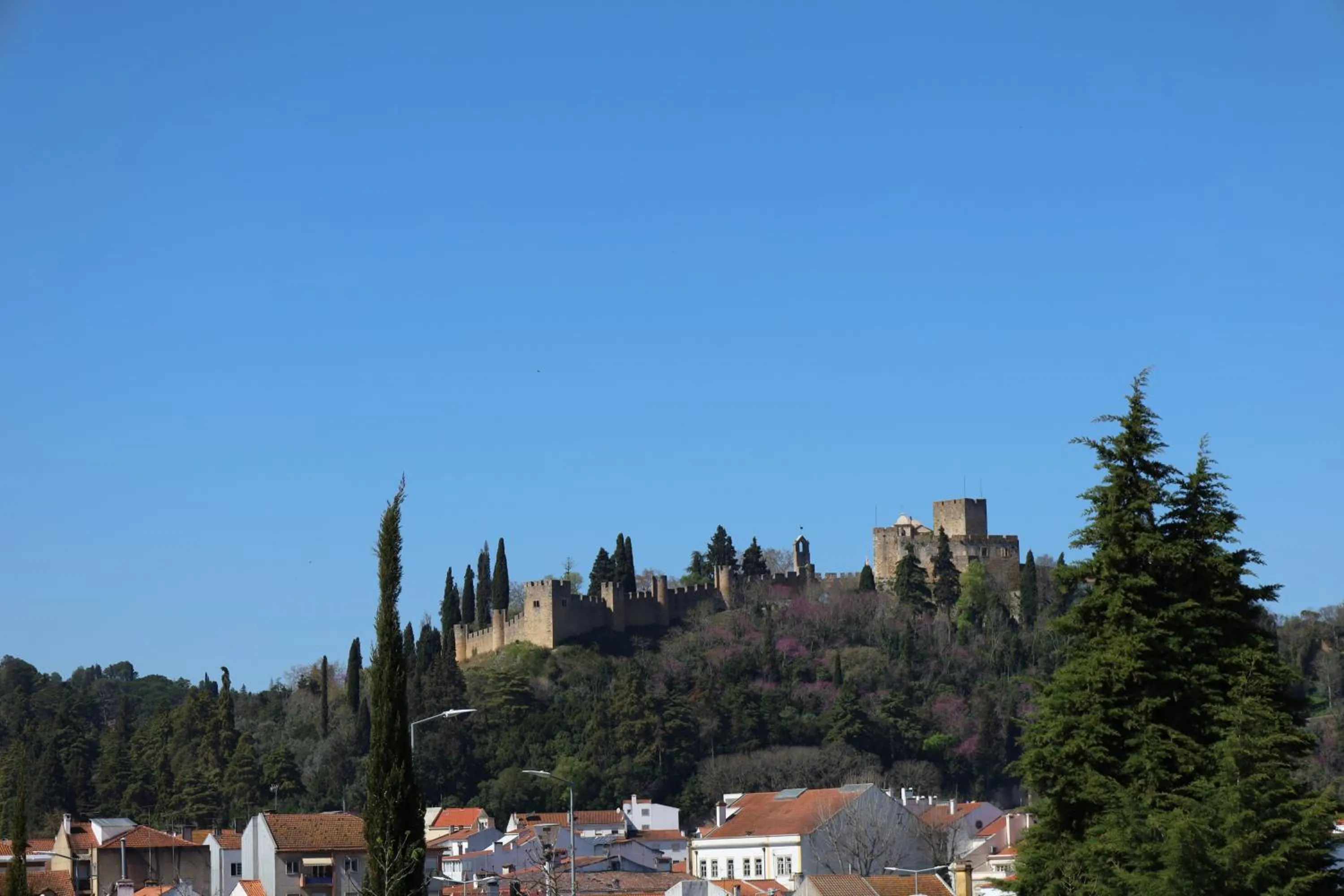 Nearby landmark in Hotel Dom Goncalo & Spa