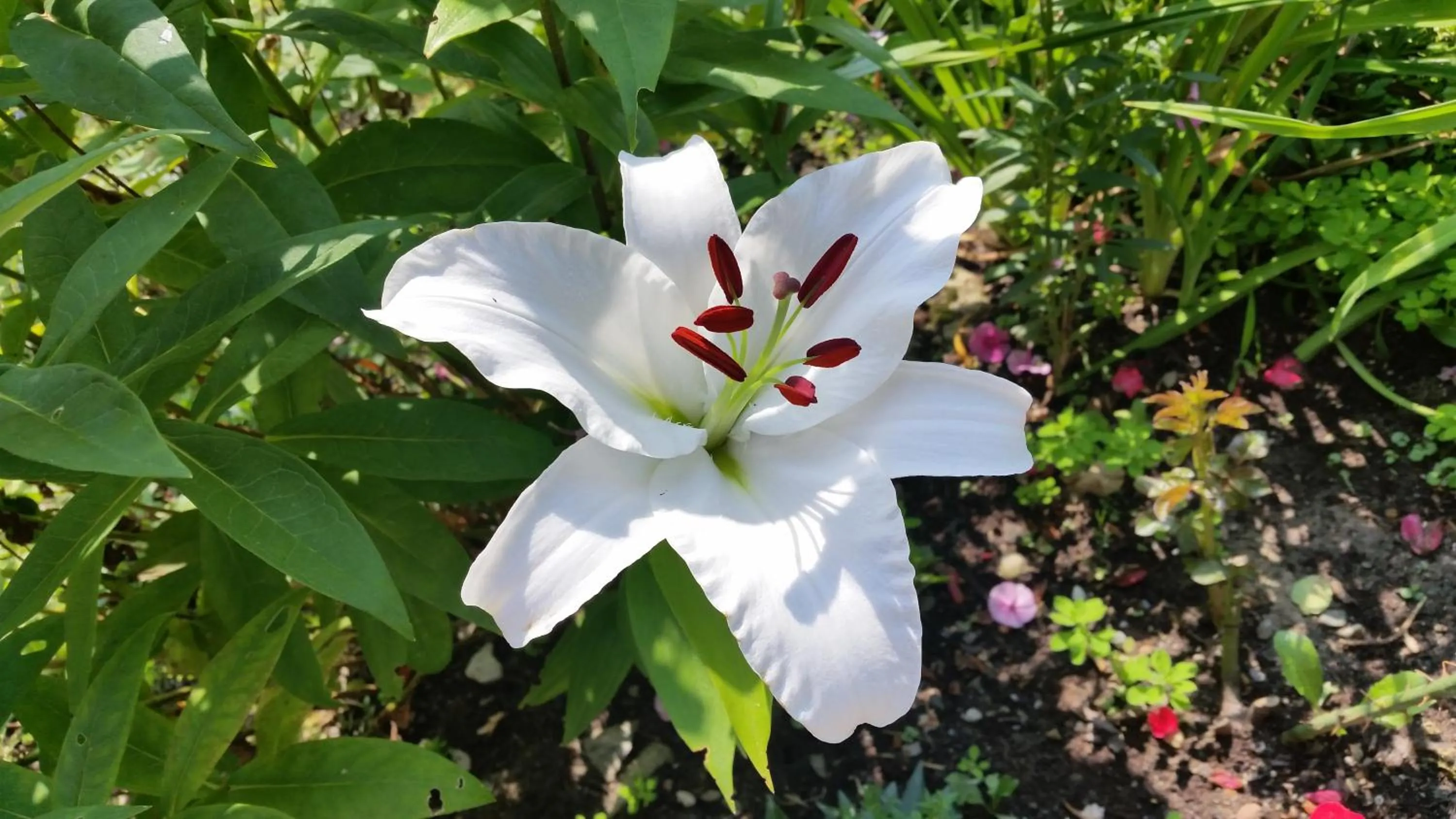 Property building in Haus Silvia Kraml