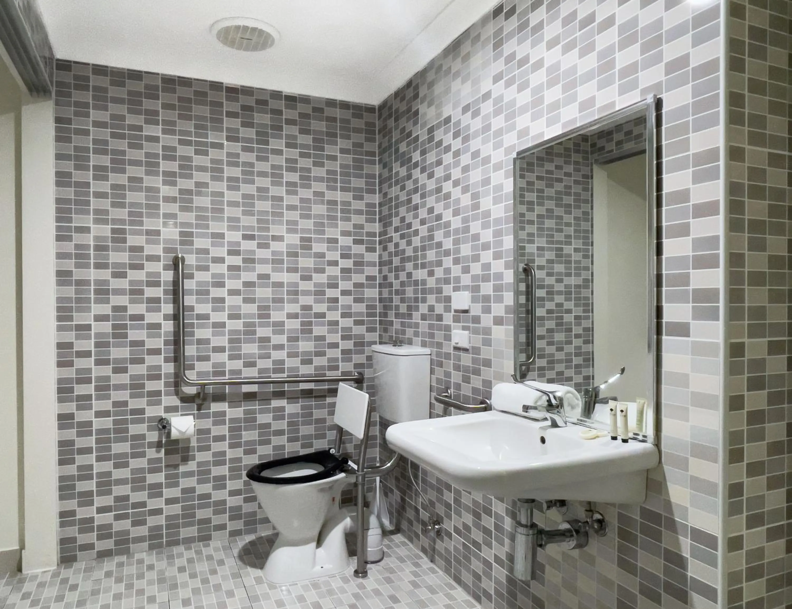 Toilet in The Phoenix Artesian Spa Resort and Accommodation