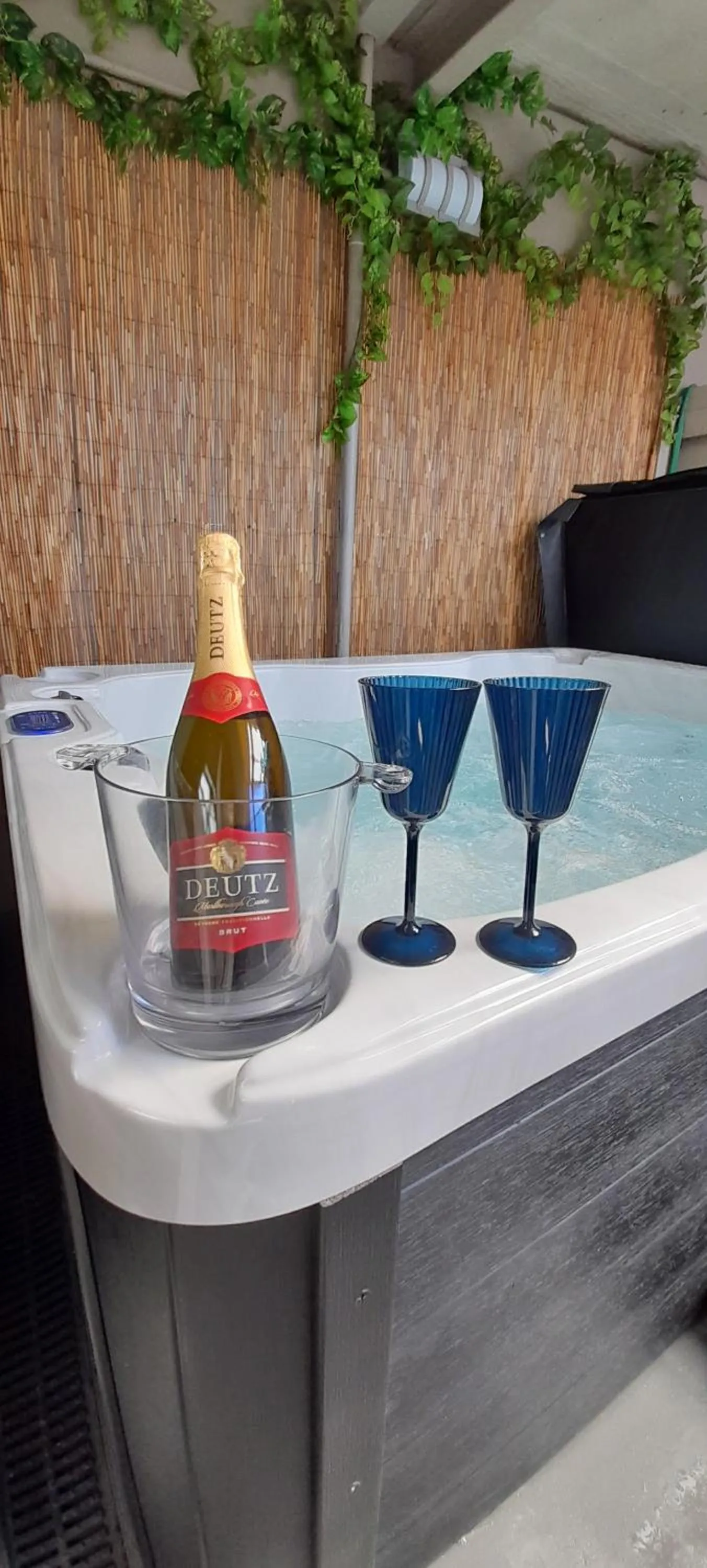 Drinks in Dunedin Palms Motel