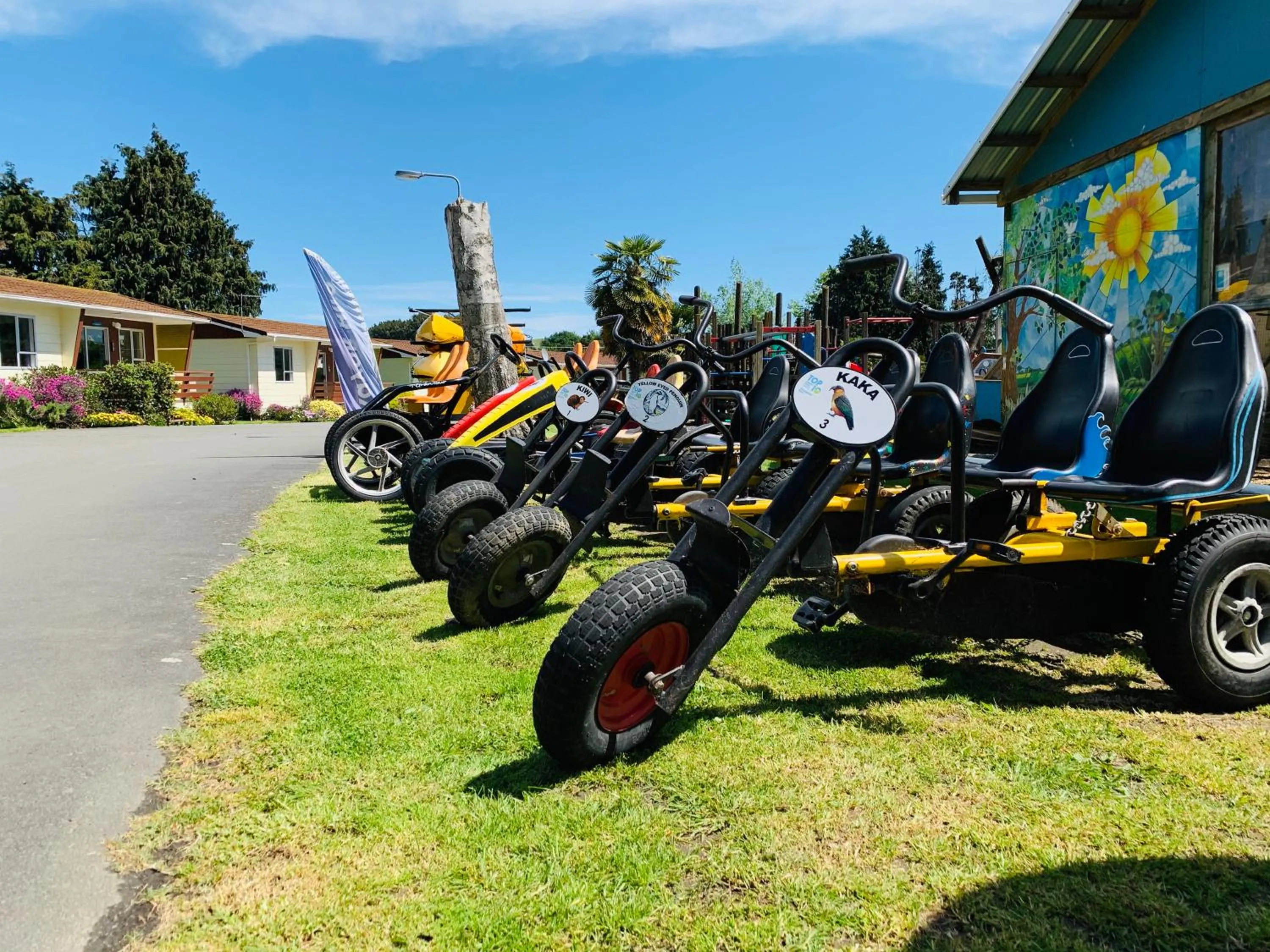 Activities in Whanganui River Top 10 Holiday Park