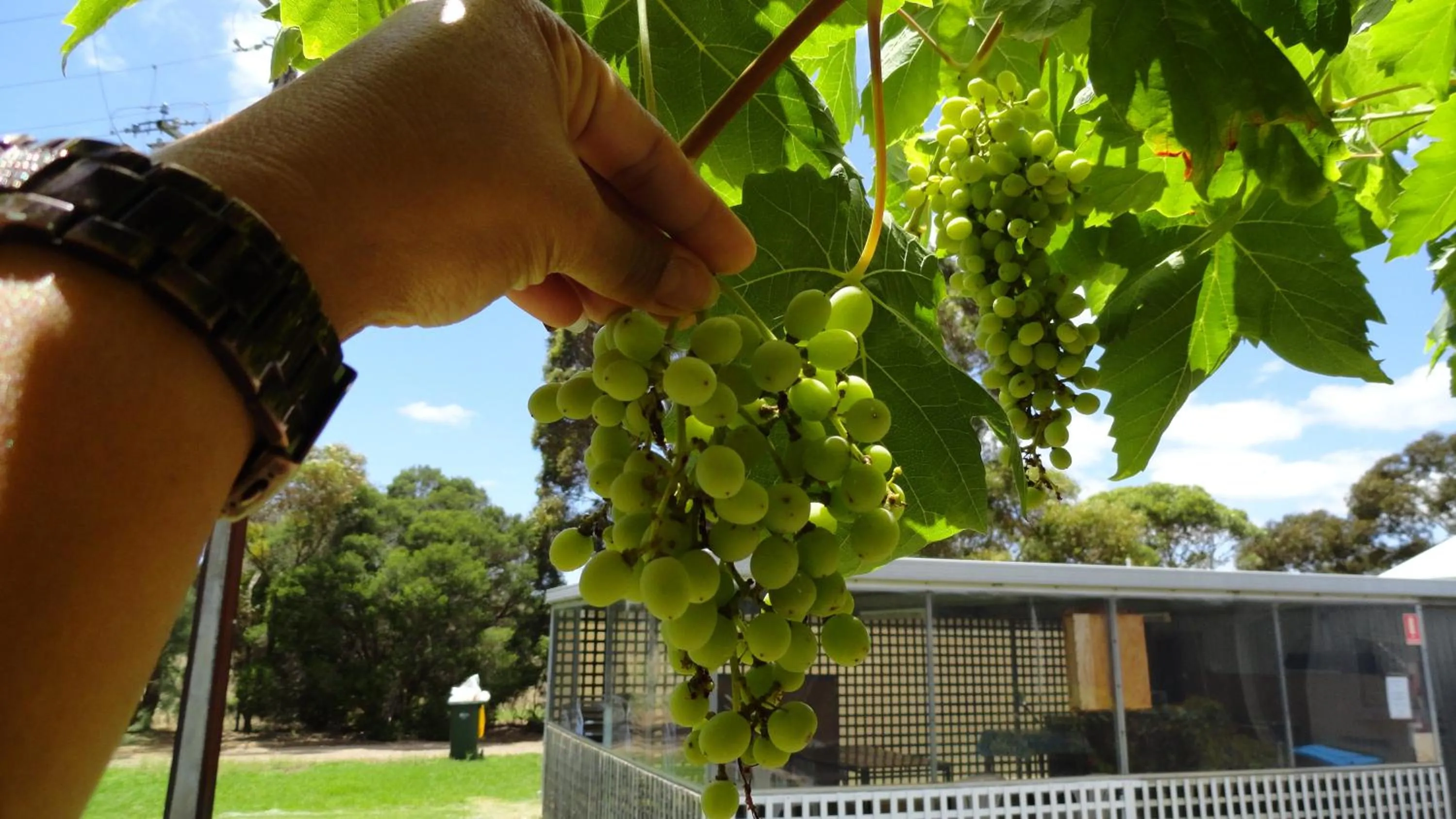 Area and facilities in Murray Bridge Motor Inn