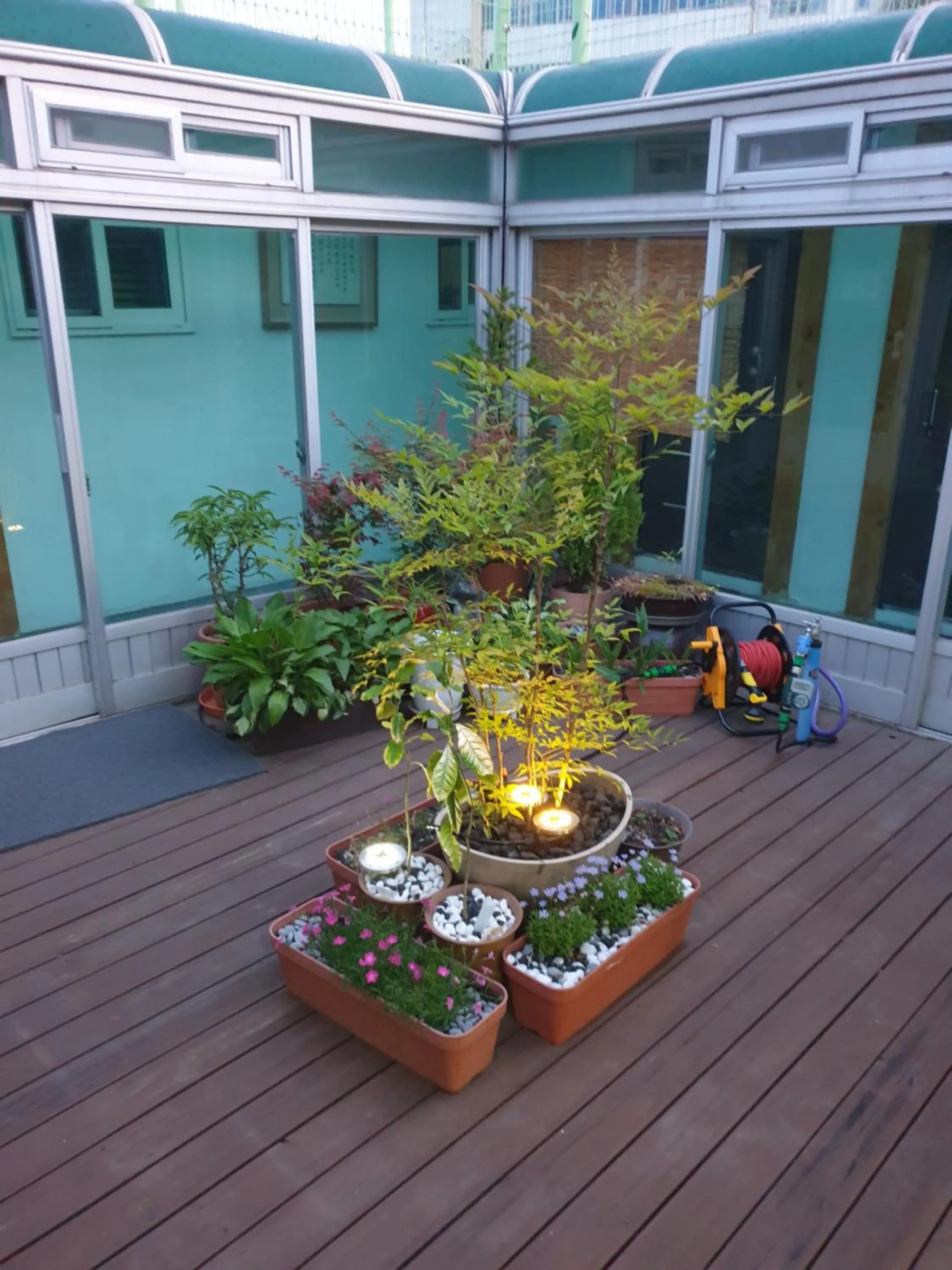Garden in Dal Garam Guesthouse - 외국인 전용