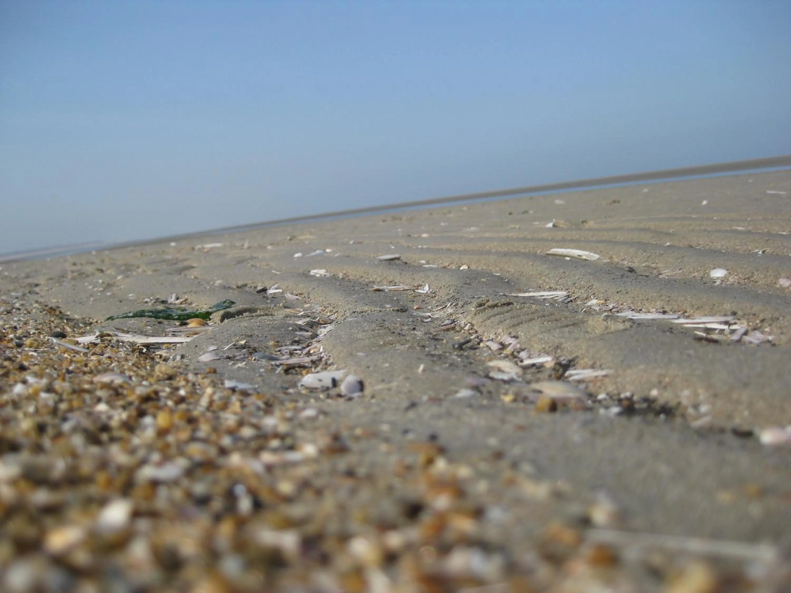 Area and facilities in Fletcher Hotel-Restaurant Duinzicht