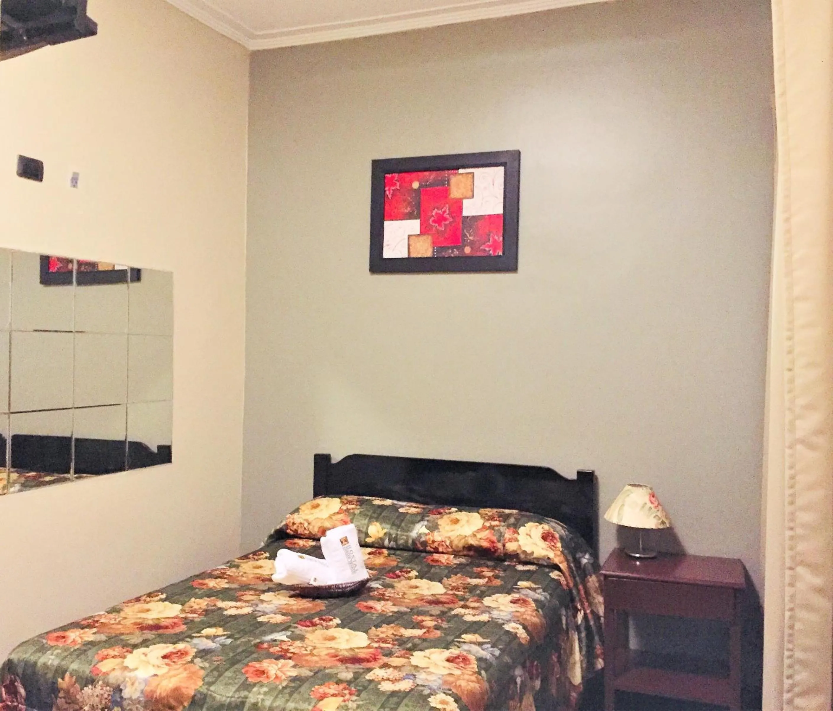 Double Room - single occupancy in Hostal Carlos Tenaud