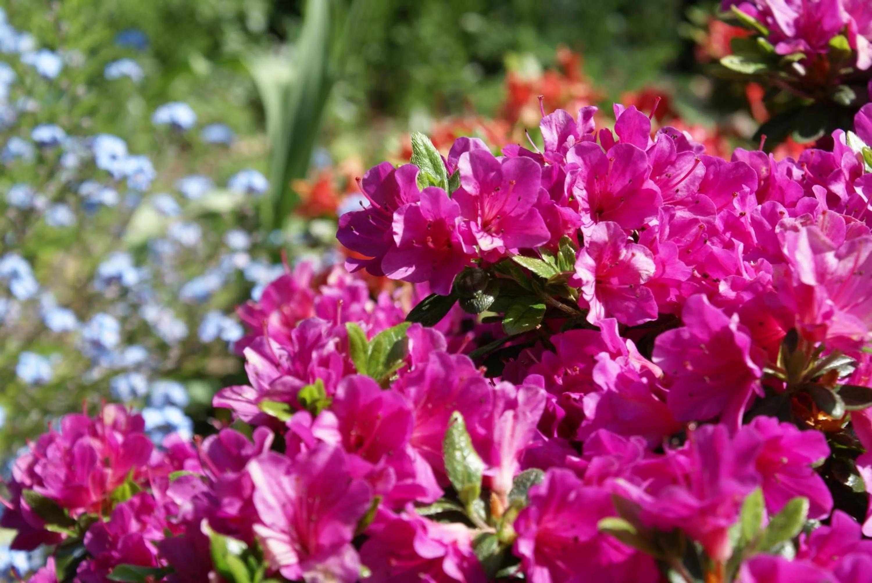 Day in Hotel Residenz Rennhack