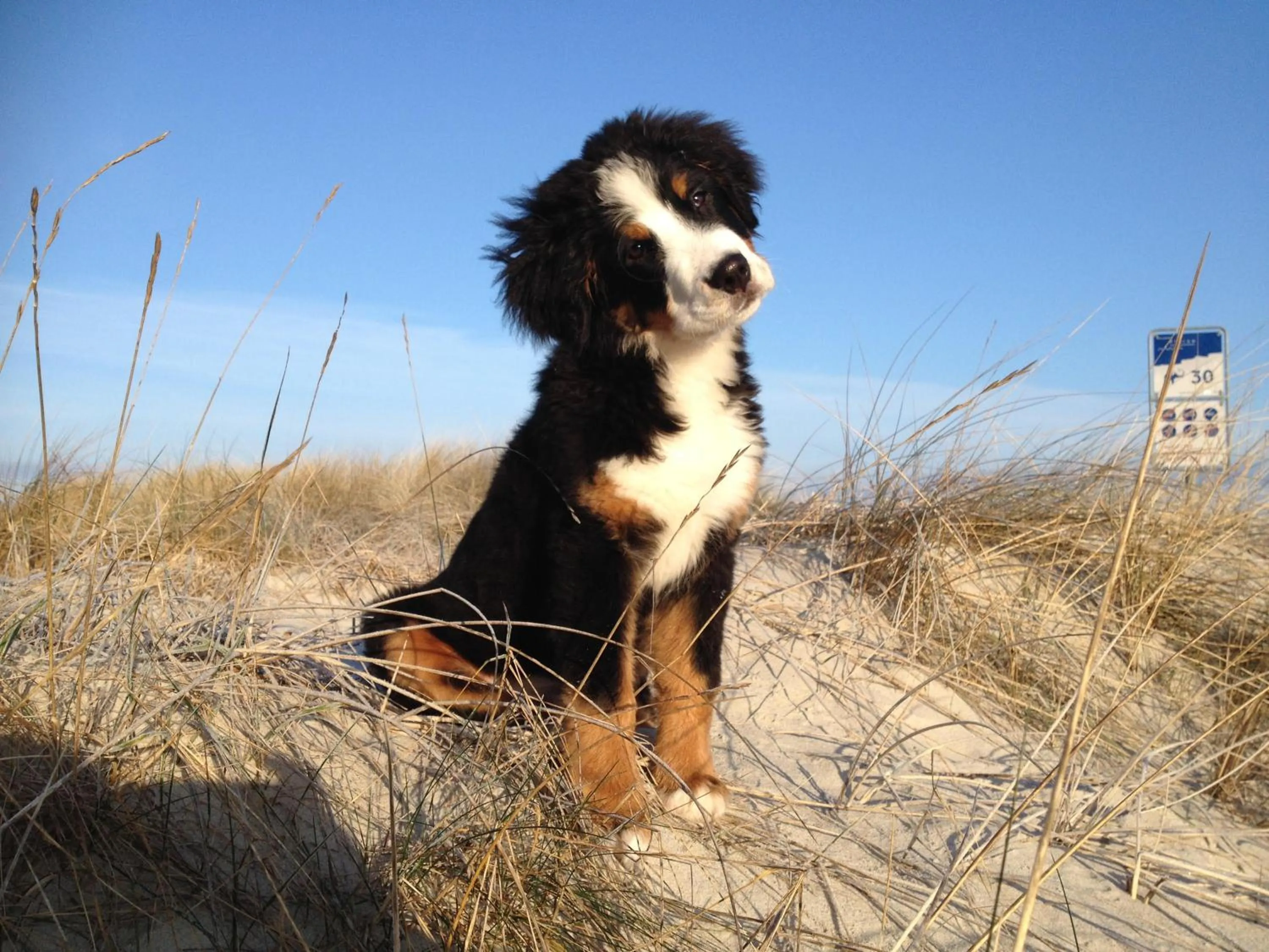 Spring in Hotel Residenz Rennhack