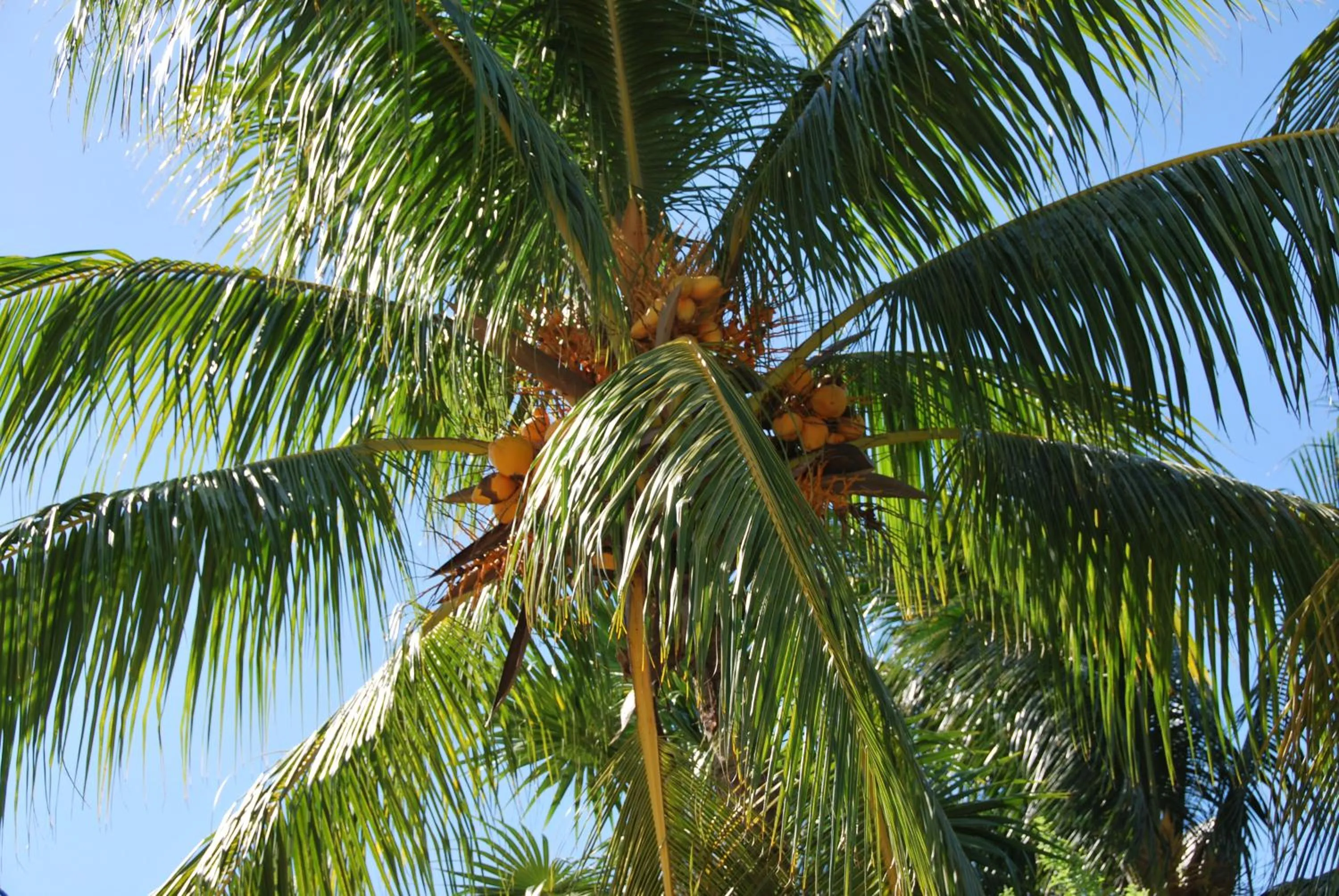 Natural landscape in Mapache Hostel