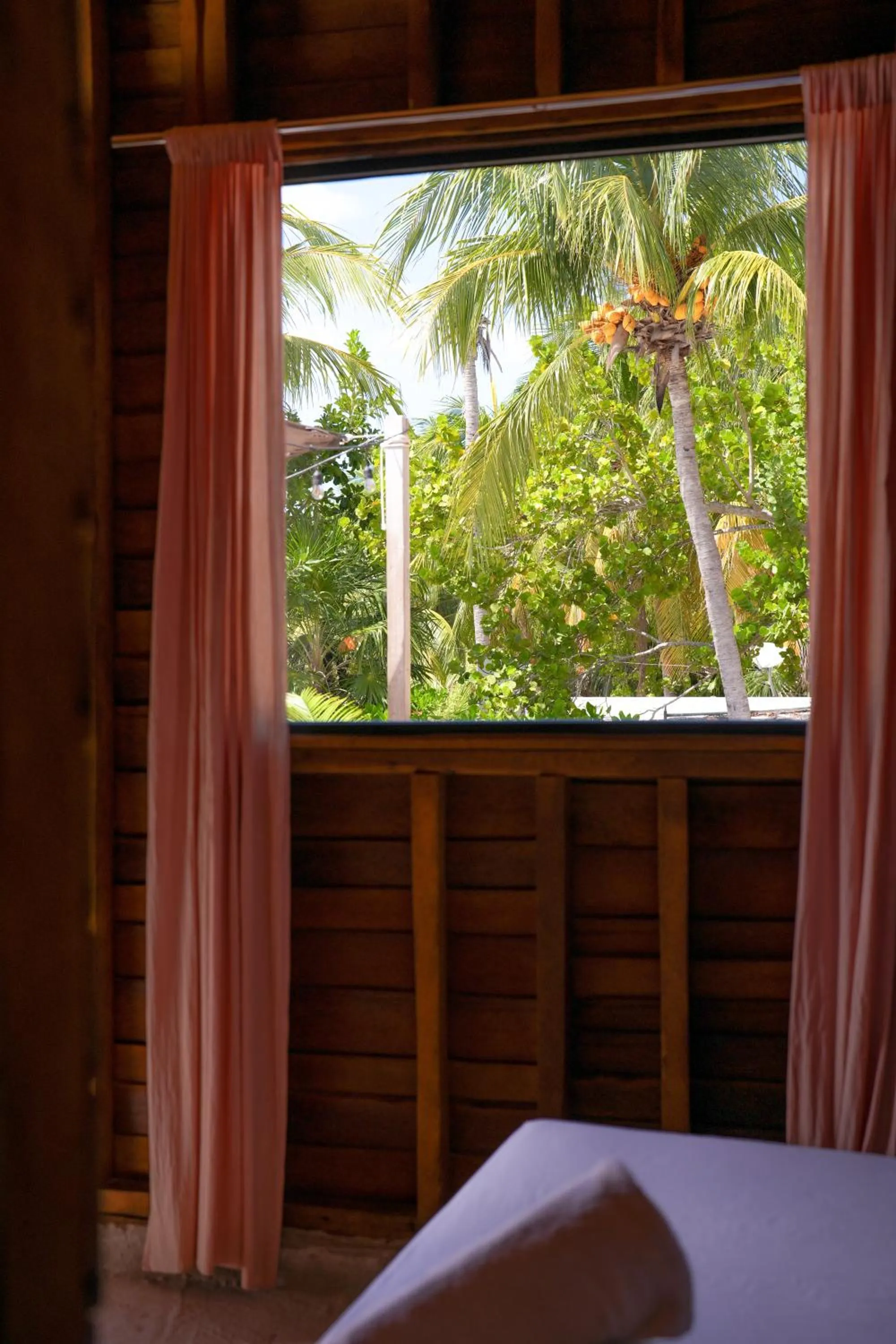 View (from property/room), Bed in Mapache Hostel