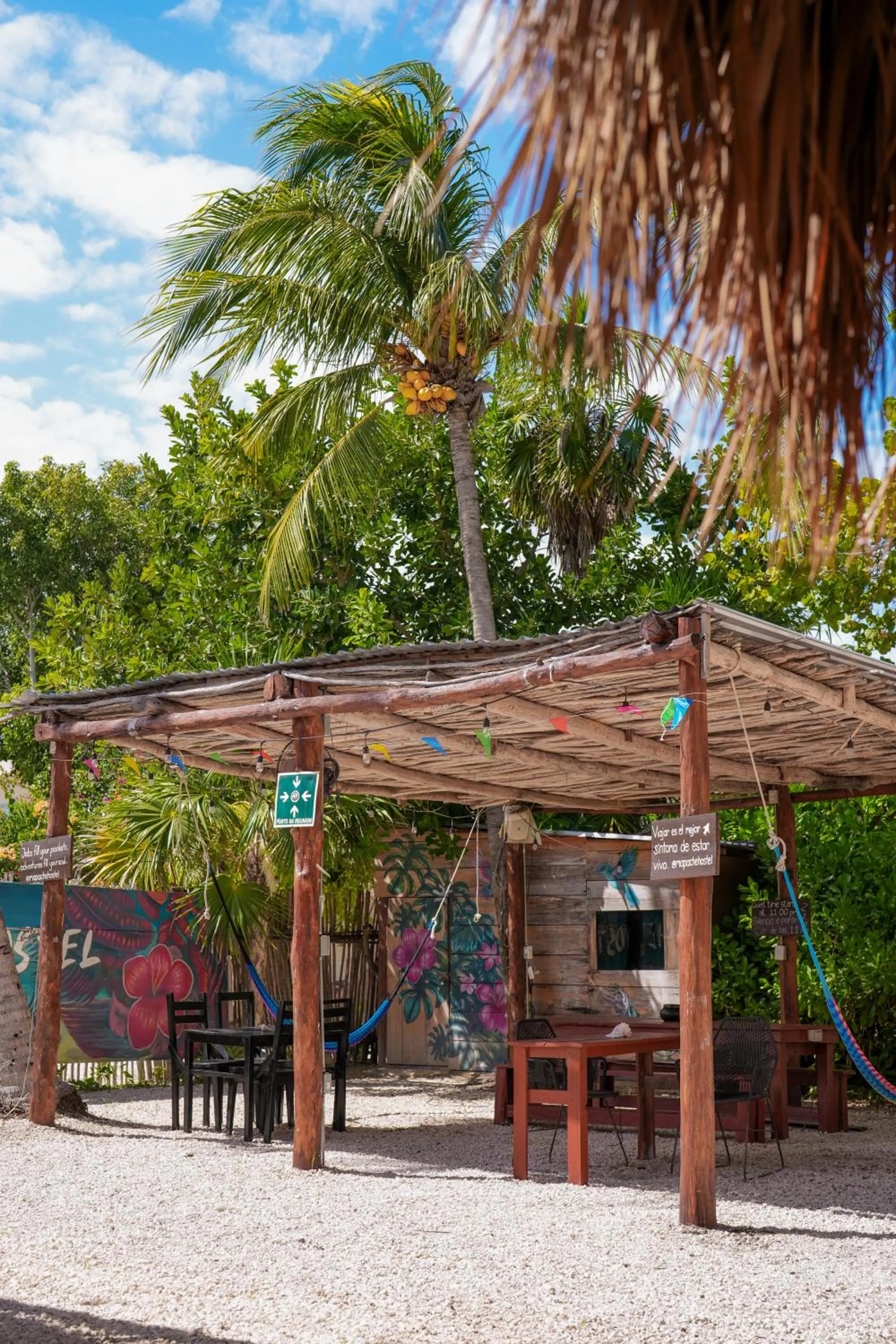 Patio in Mapache Hostel