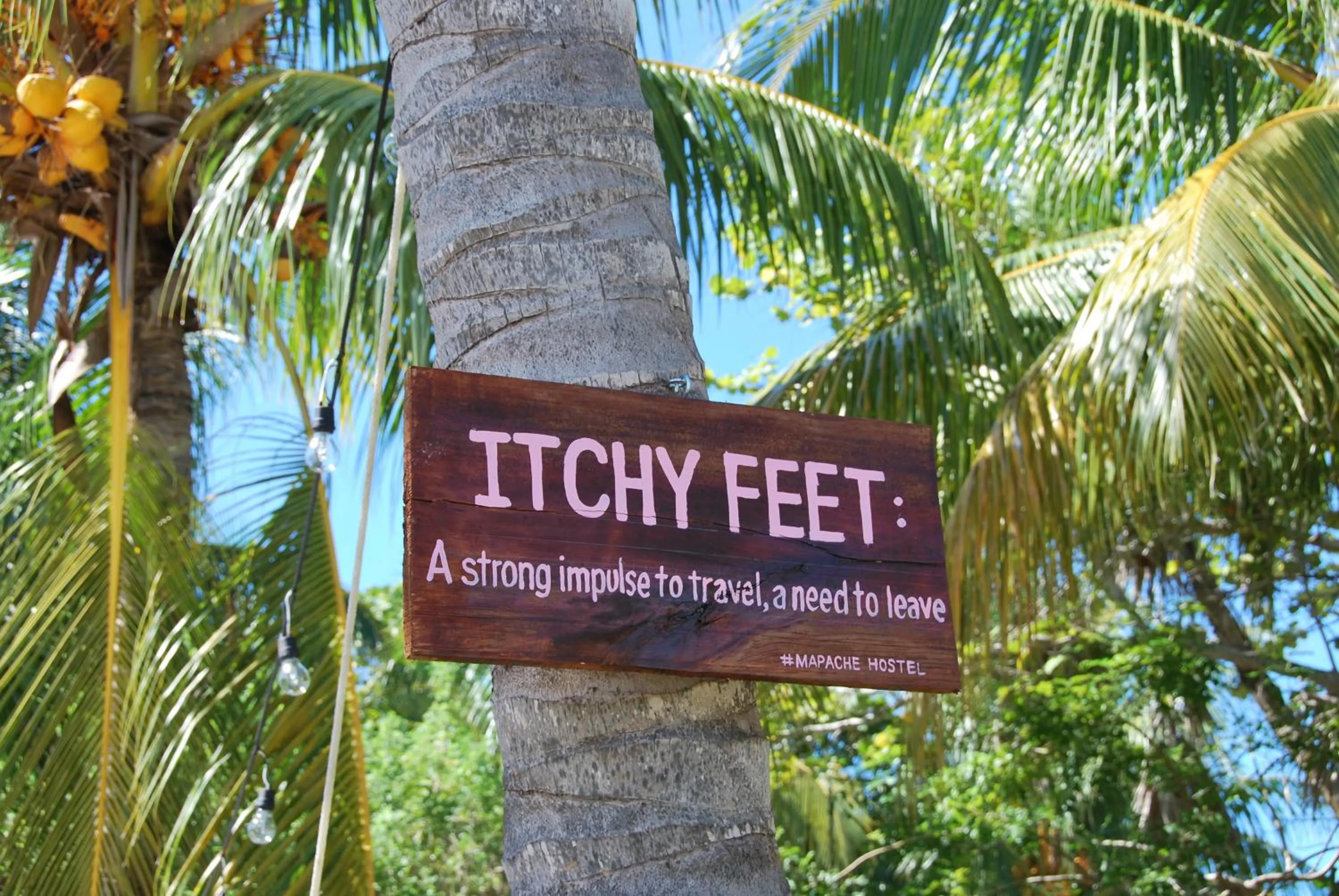 Property logo or sign in Mapache Hostel