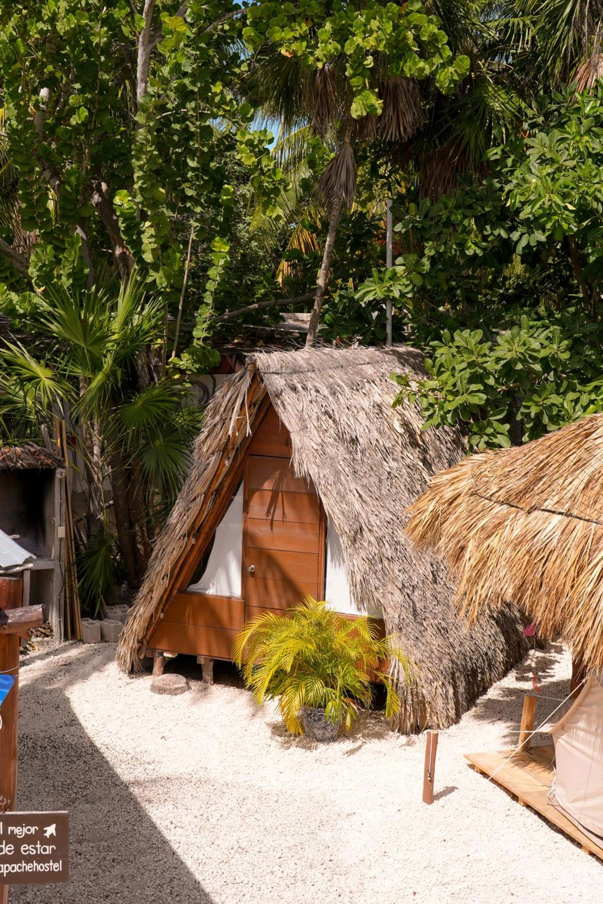 Facade/entrance in Mapache Hostel