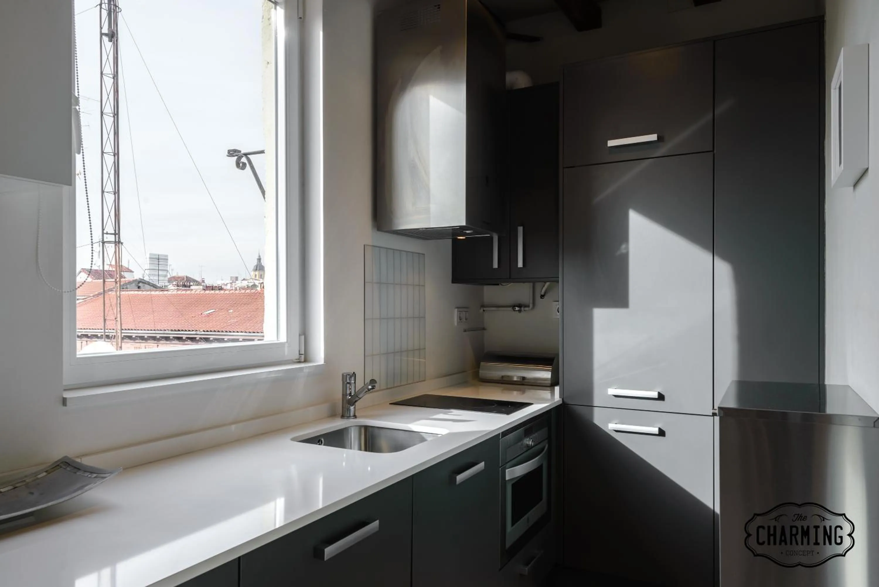 Kitchen or kitchenette in Charming Reina Sofía