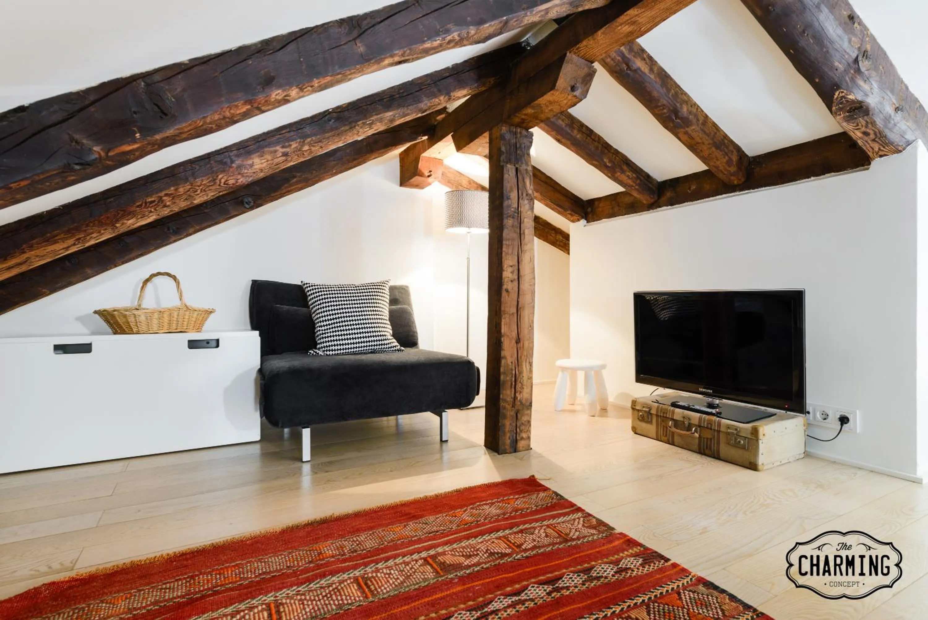 Living room in Charming Reina Sofía