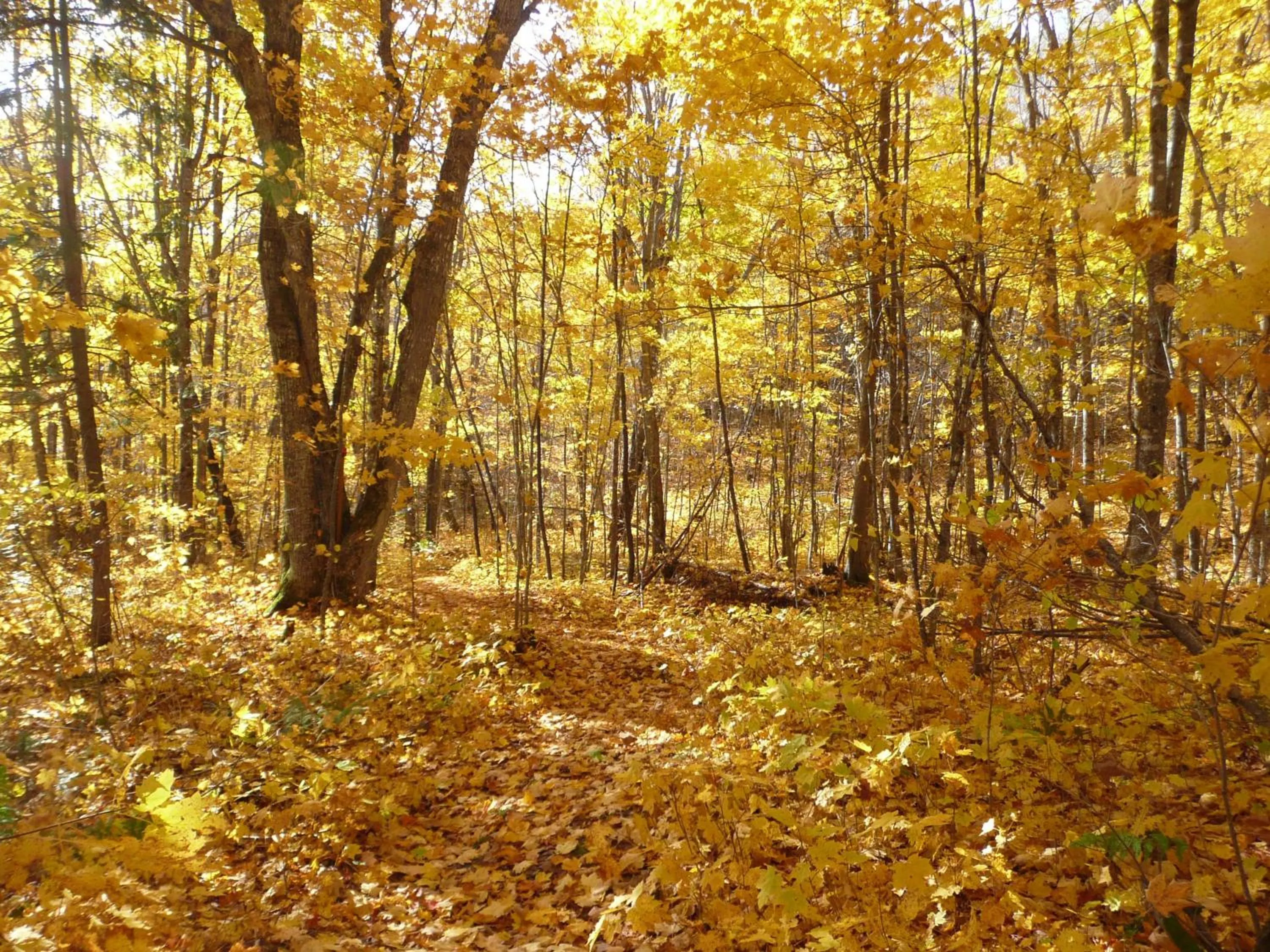 Natural landscape in Kan-à-Mouche Pourvoirie Auberge et Chalets