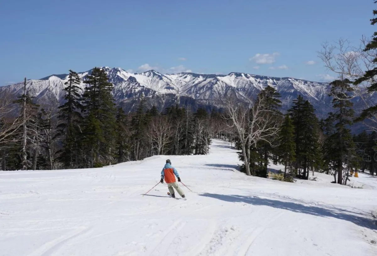 Hotel Taisetsu Onsen&Canyon Resort