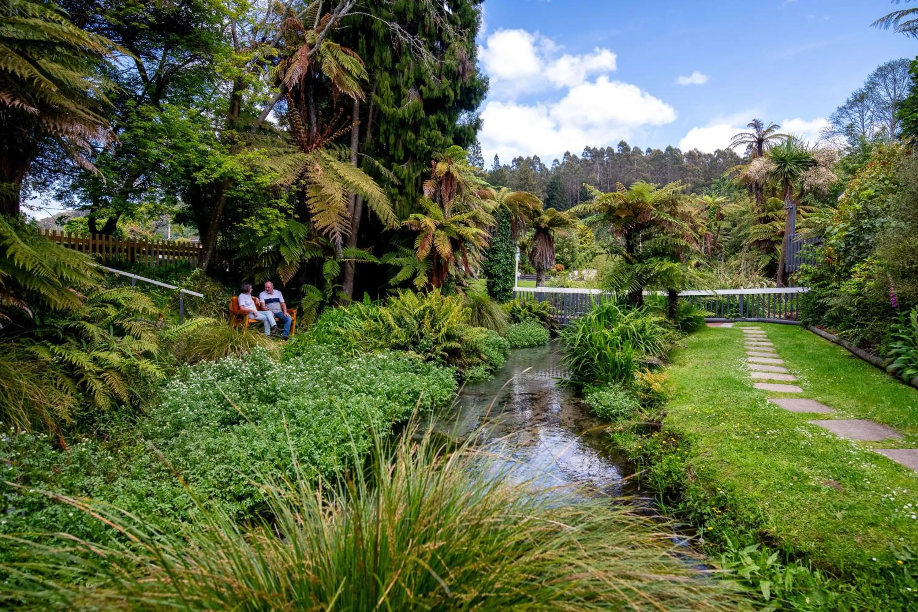 River view in Ripple Rotorua