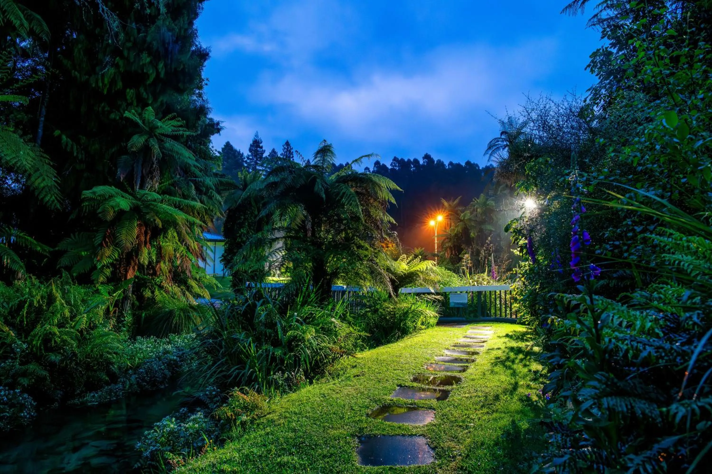 River view in Ripple Rotorua